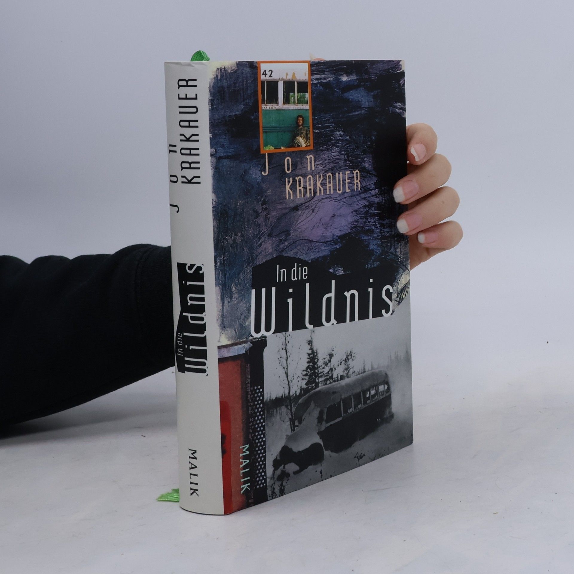 Jon Krakauer In die Wildnis