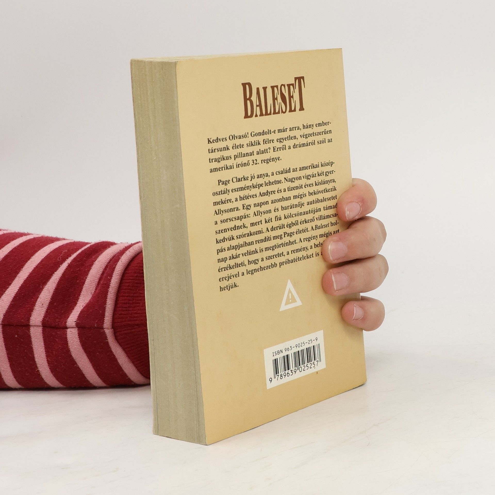 Danielle Steel Baleset