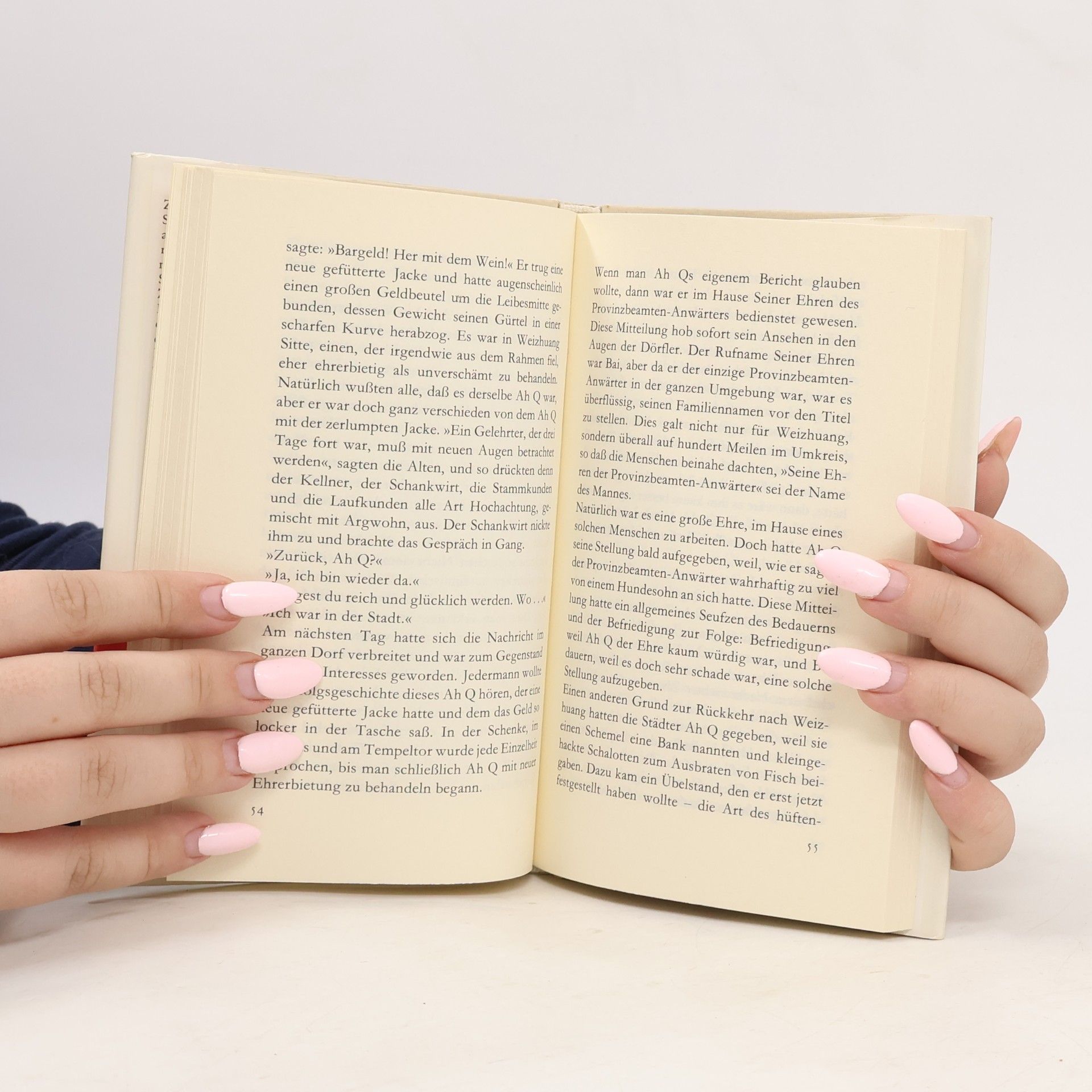 Lu Xun Die wahre Geschichte des Ah Q