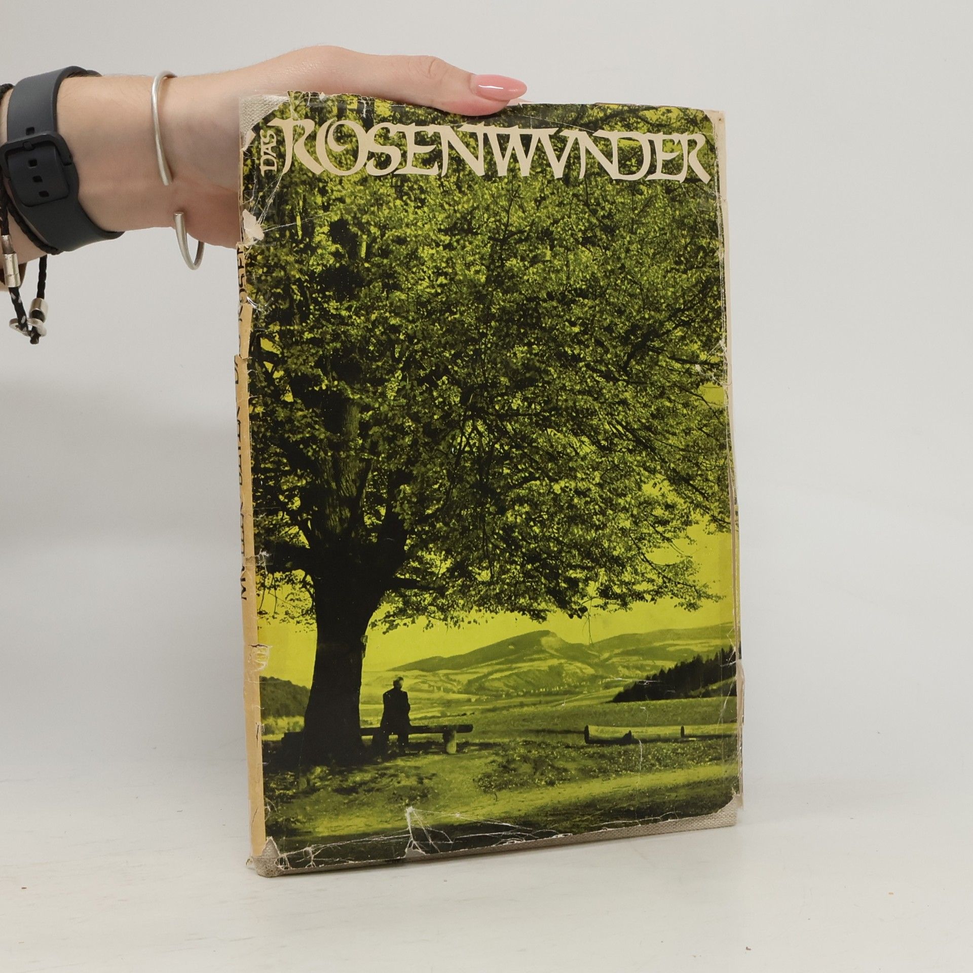 Das Rosenwunder