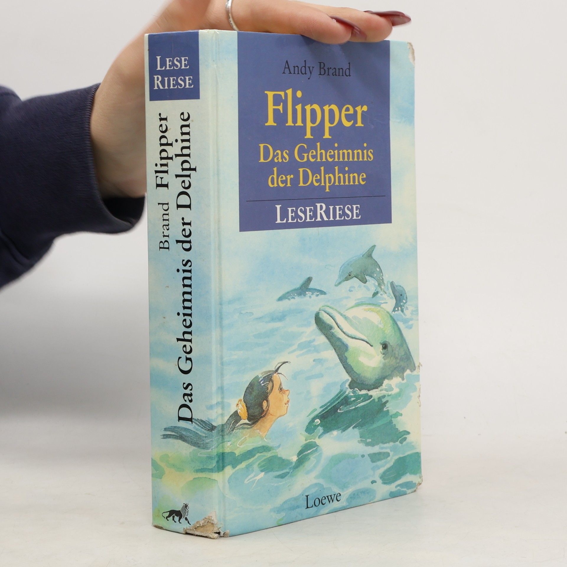 Andy Brand Flipper. Das Geheimnis der Delphine