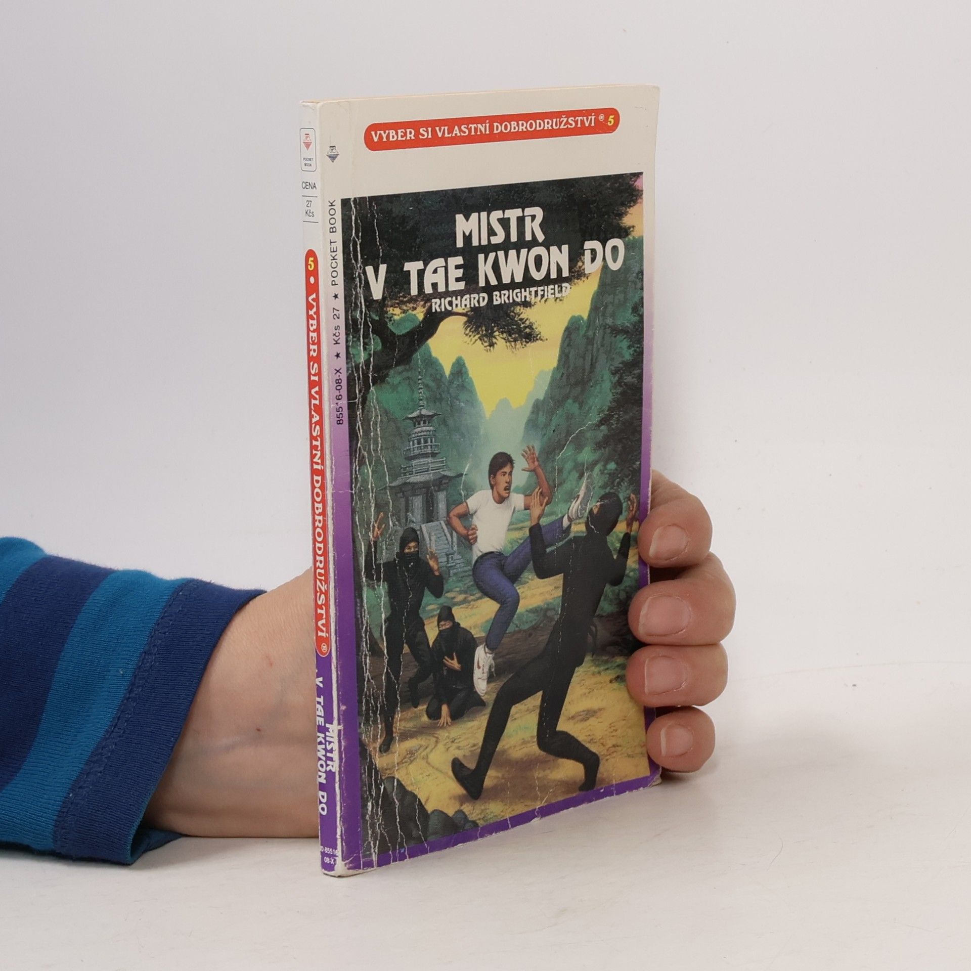Richard Brightfield Mistr v tae kwon do
