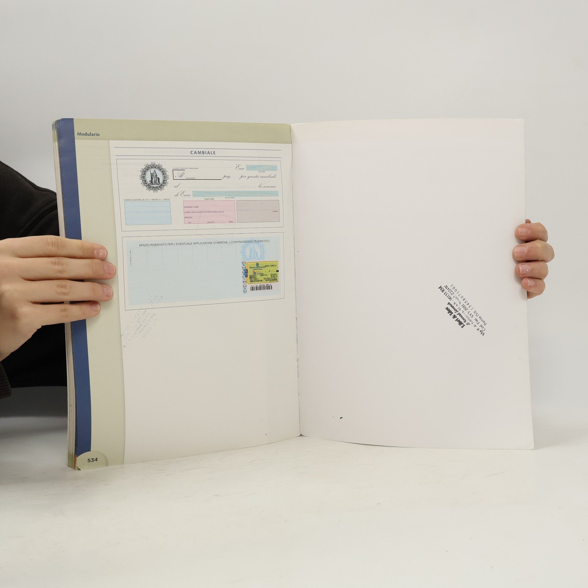 Lidia Sorrentino Azienda passo passo insieme 2. Il libro amico di Azienda passo passo insieme 2