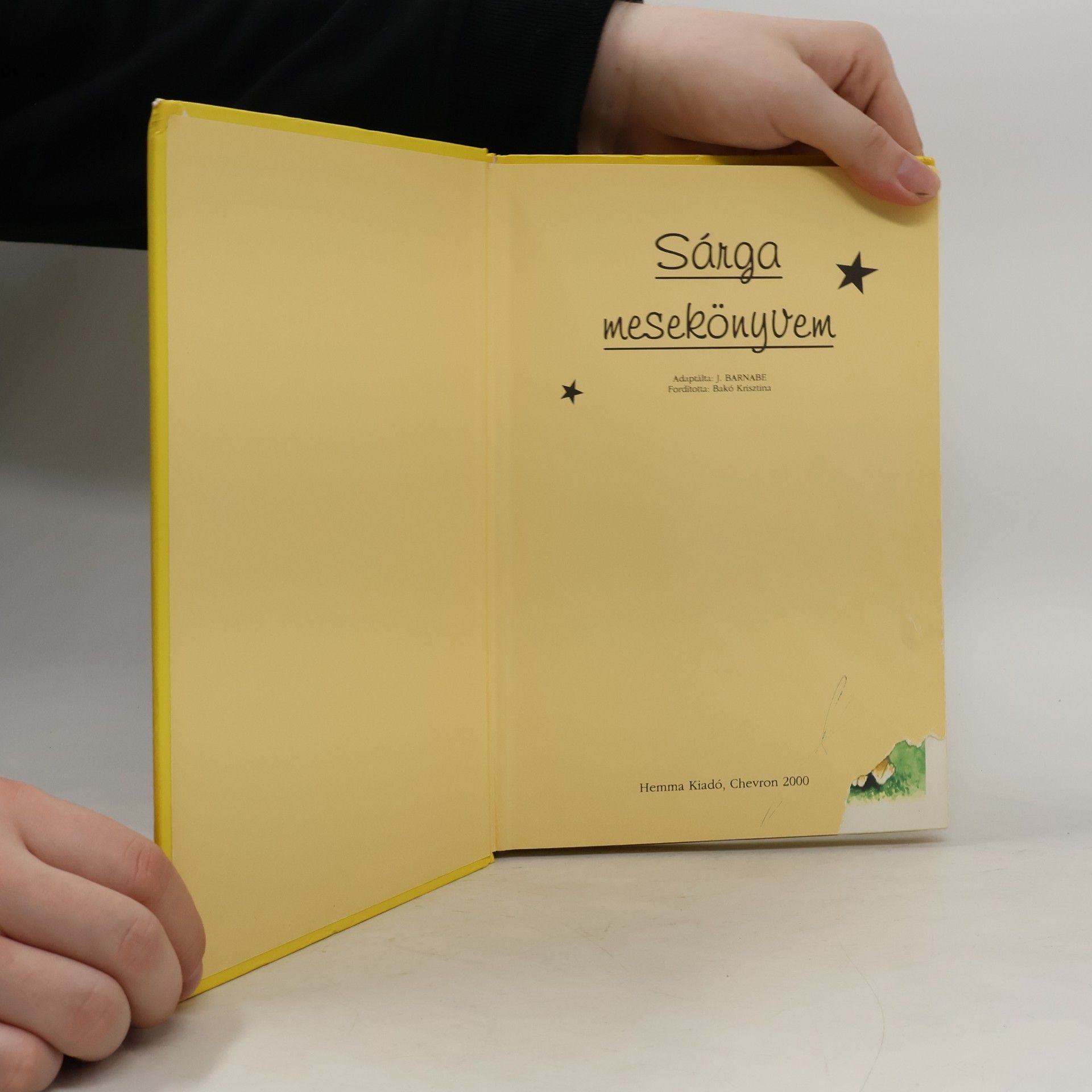 J. Barnabé Sárga mesekönyvem