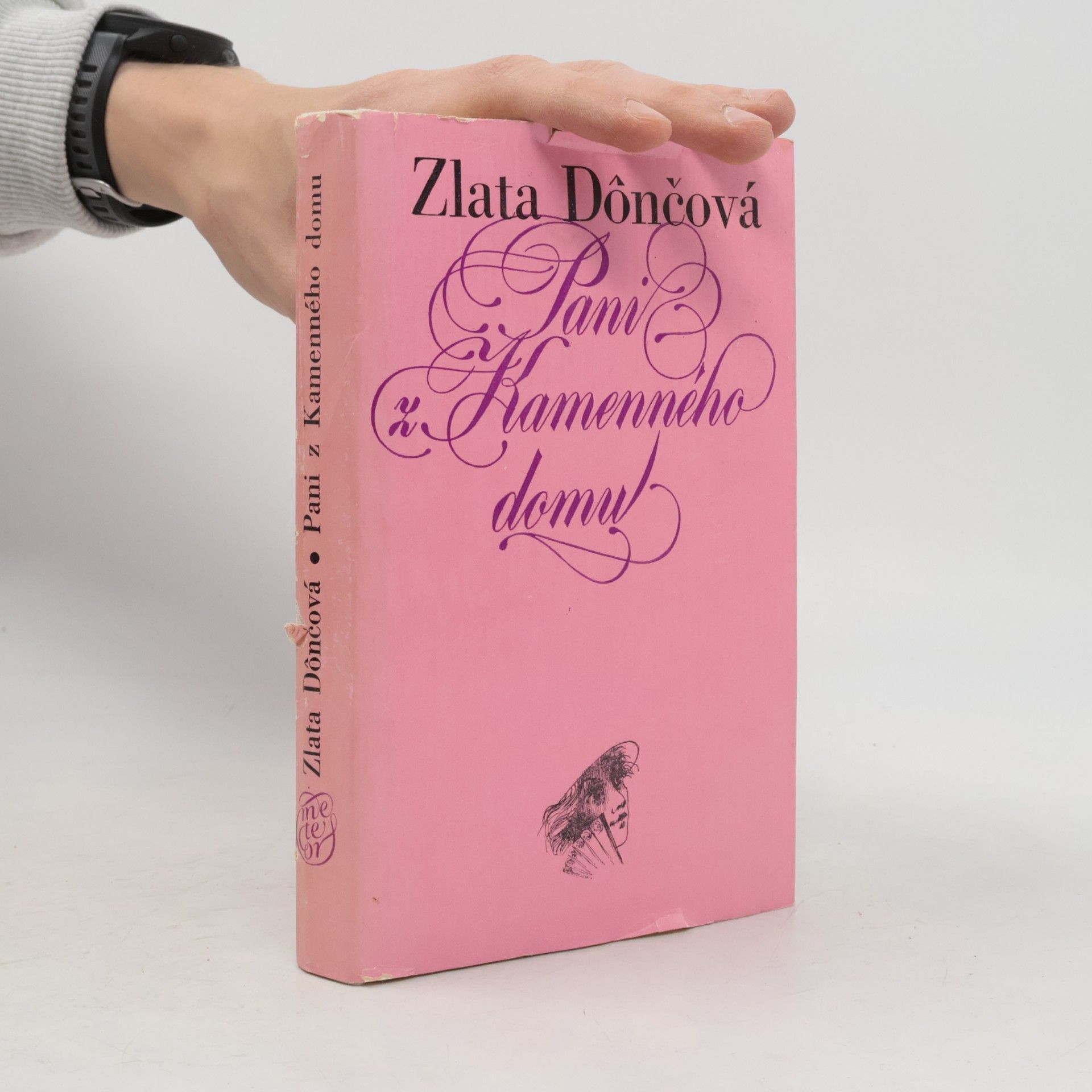Pani z Kamenného domu