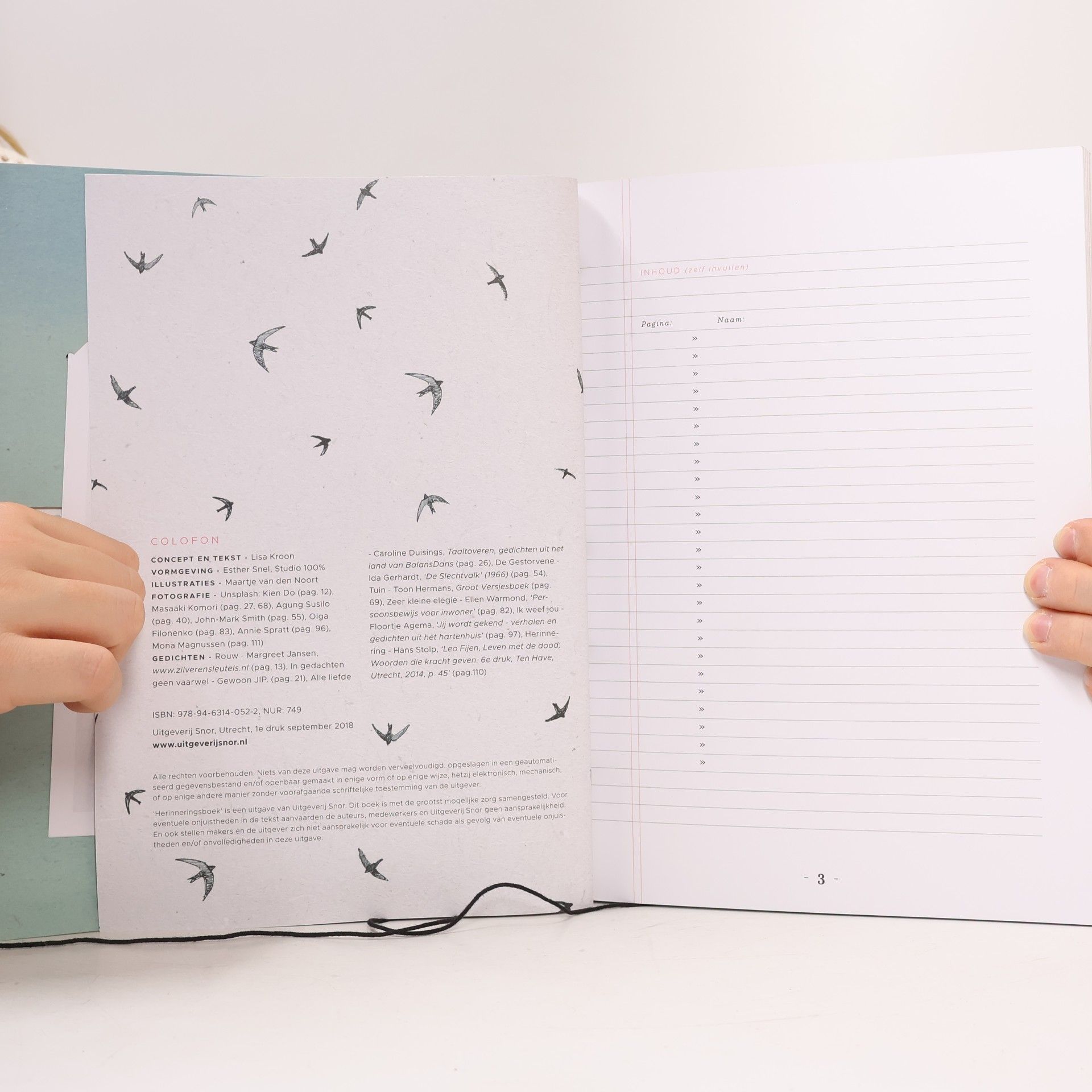 Lisa Kroon Herinneringsboek: Liefdevolle herinneringen aan...