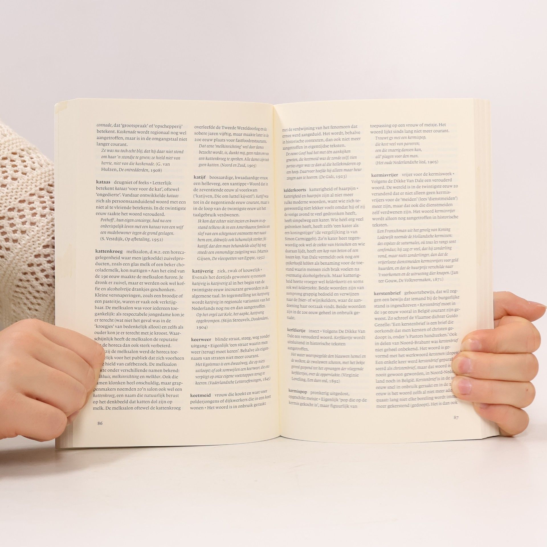 Ton den Boon Lexiton taalbank - 1: Het nieuwe verdwijnwoordenboek