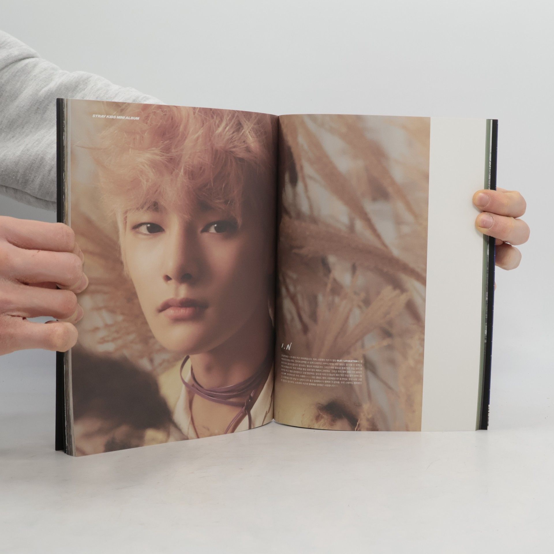 Autorenkollektiv Stray Kids Clé: Levanter Photobook