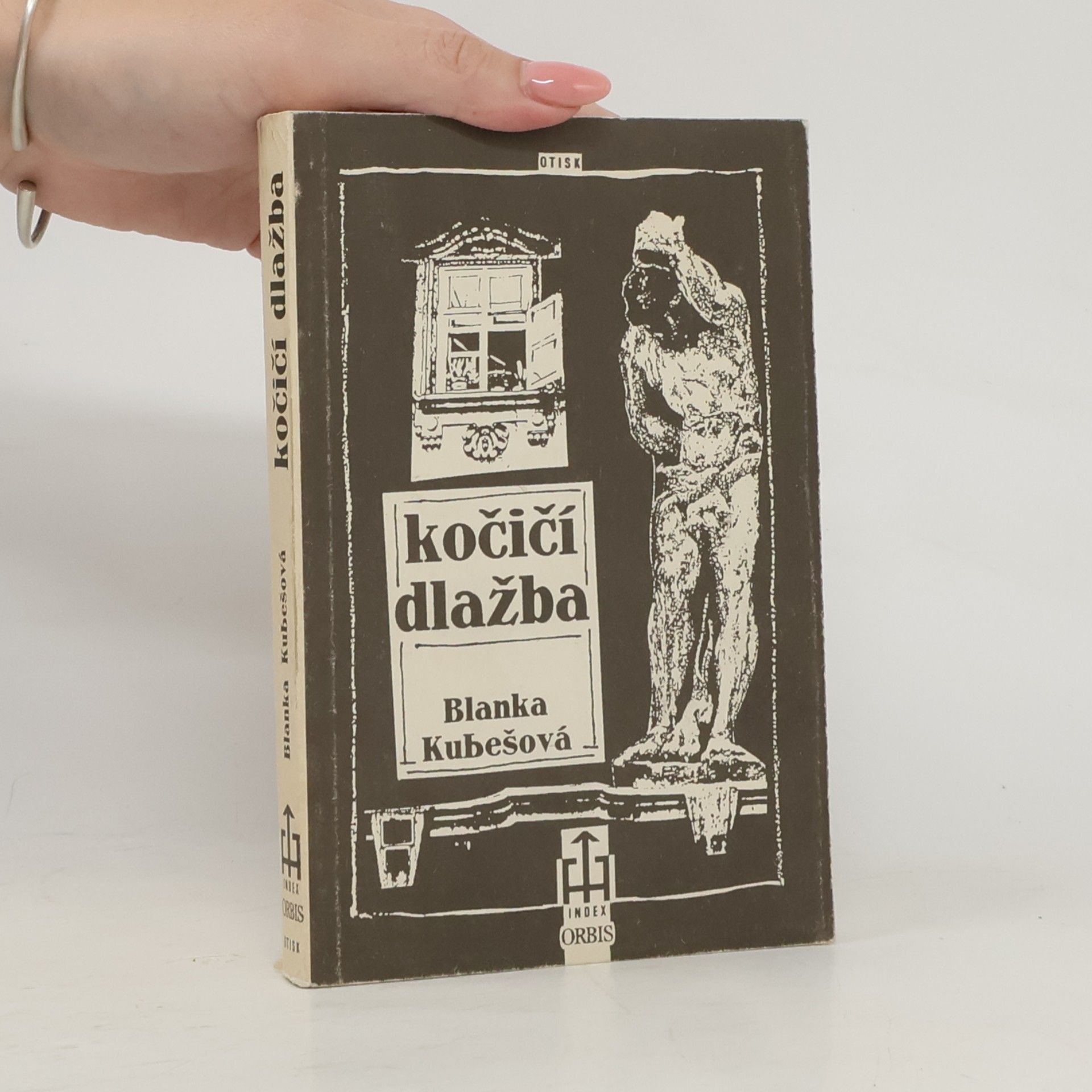 Kočičí dlažba