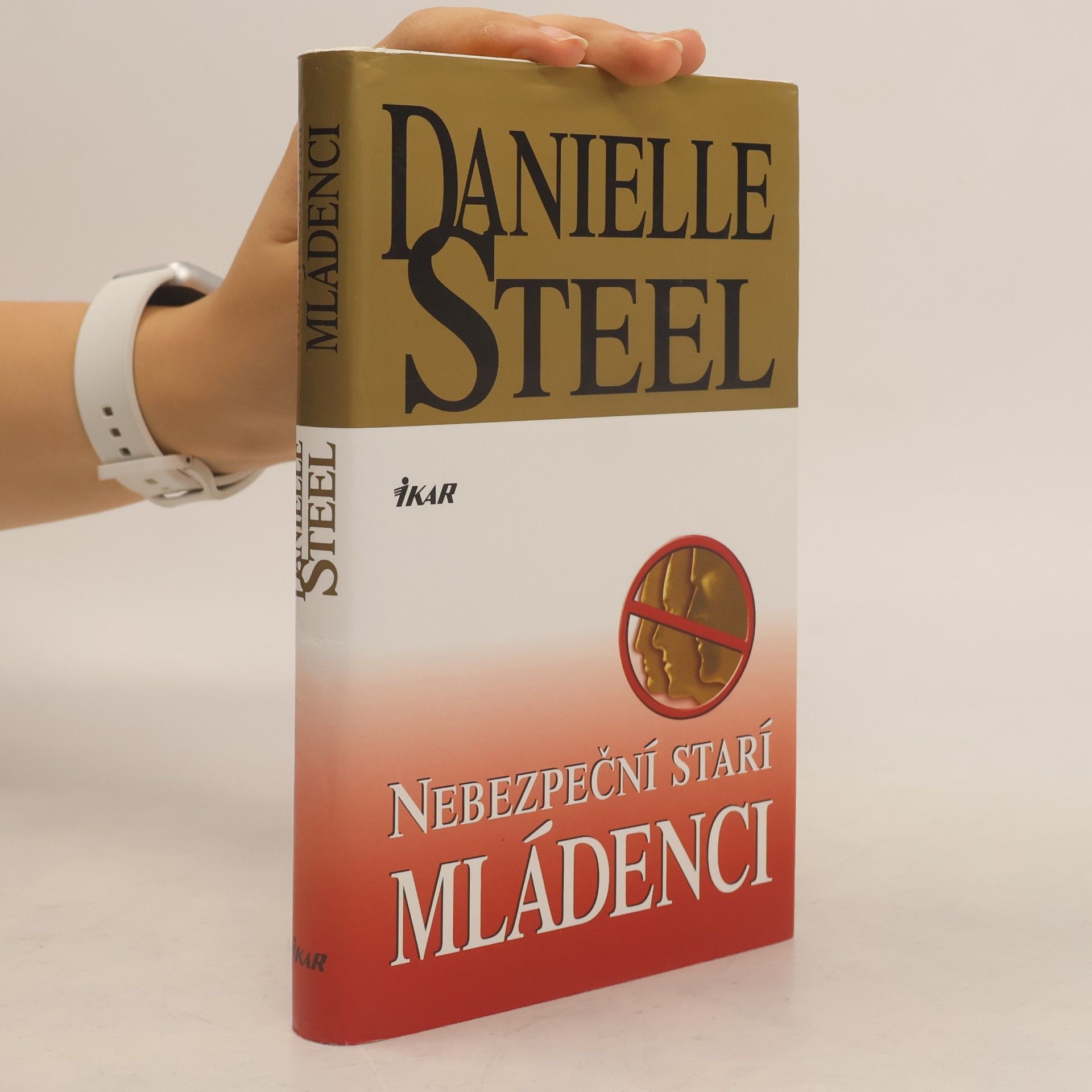 Danielle Steel Nebezpeční starí mládenci
