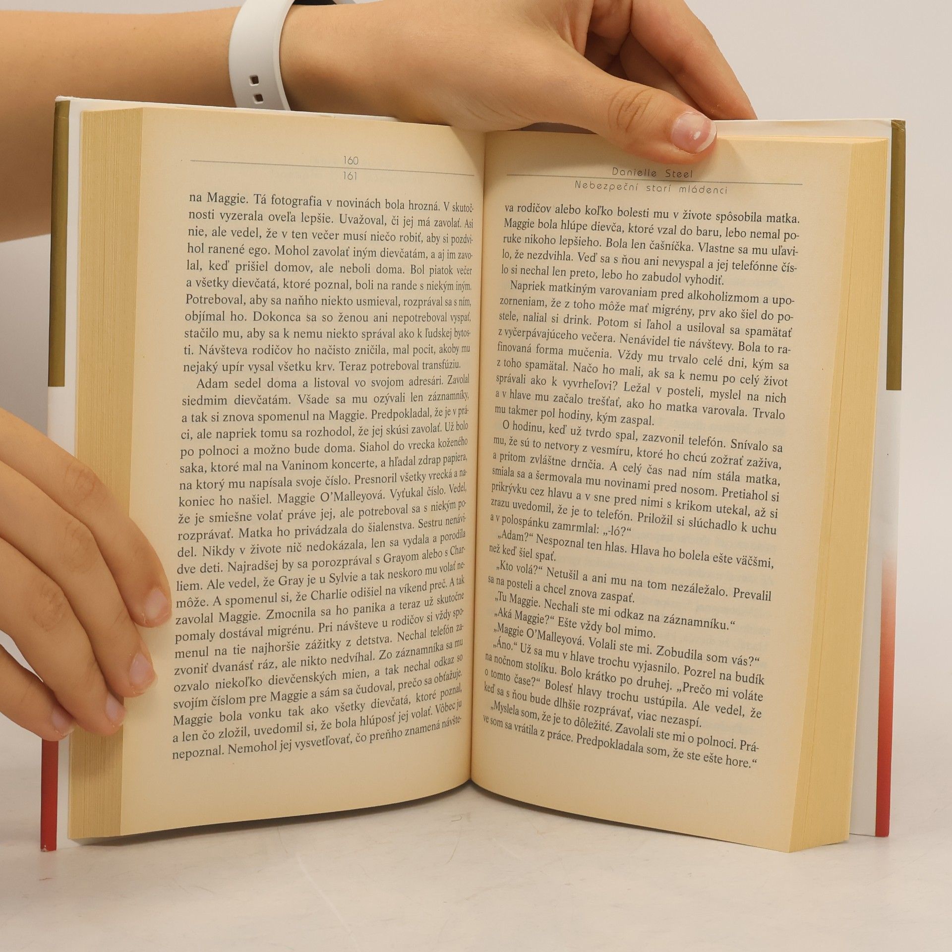 Danielle Steel Nebezpeční starí mládenci