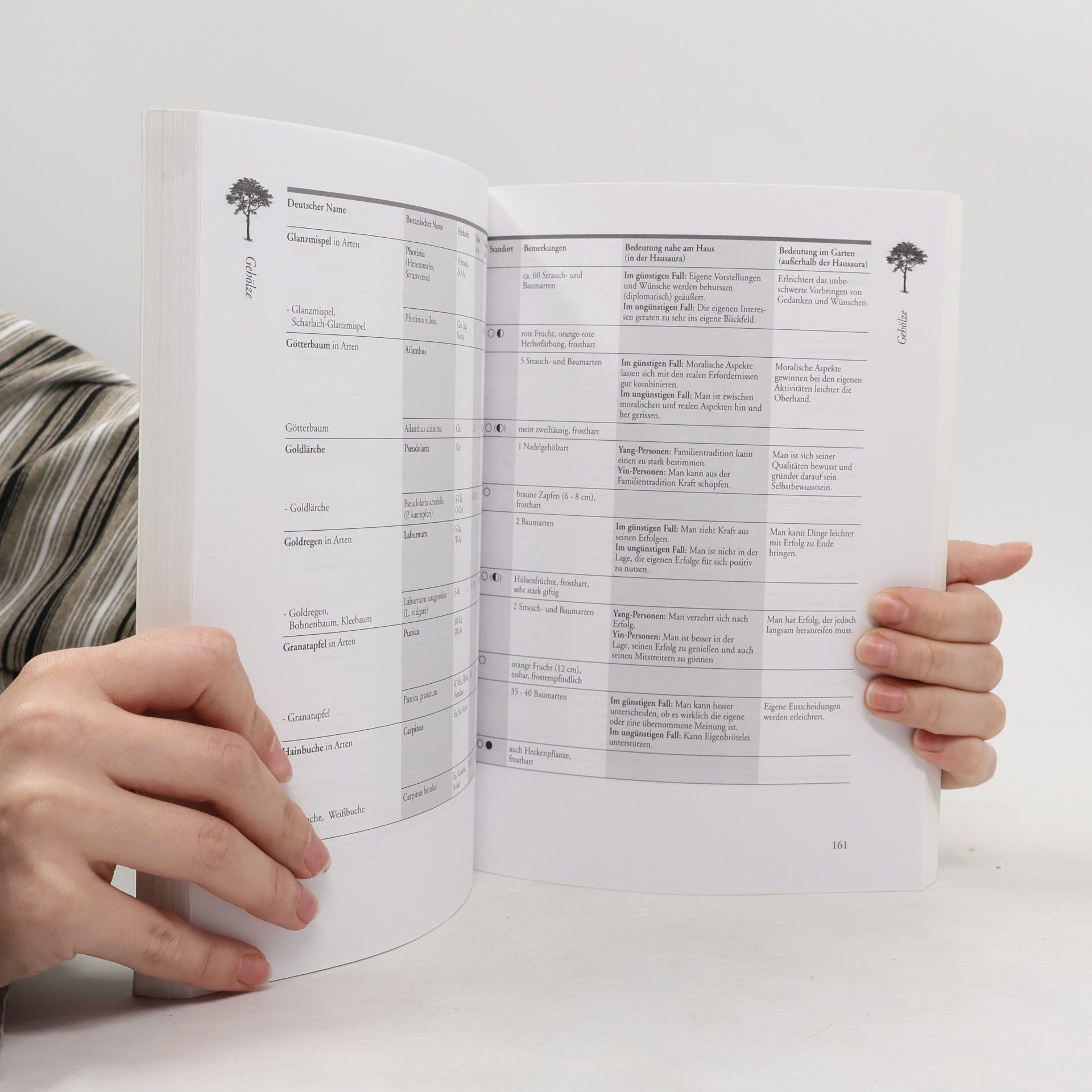Wilhelm Gerstung Das große Feng-Shui-Garten- und Pflanzenbuch