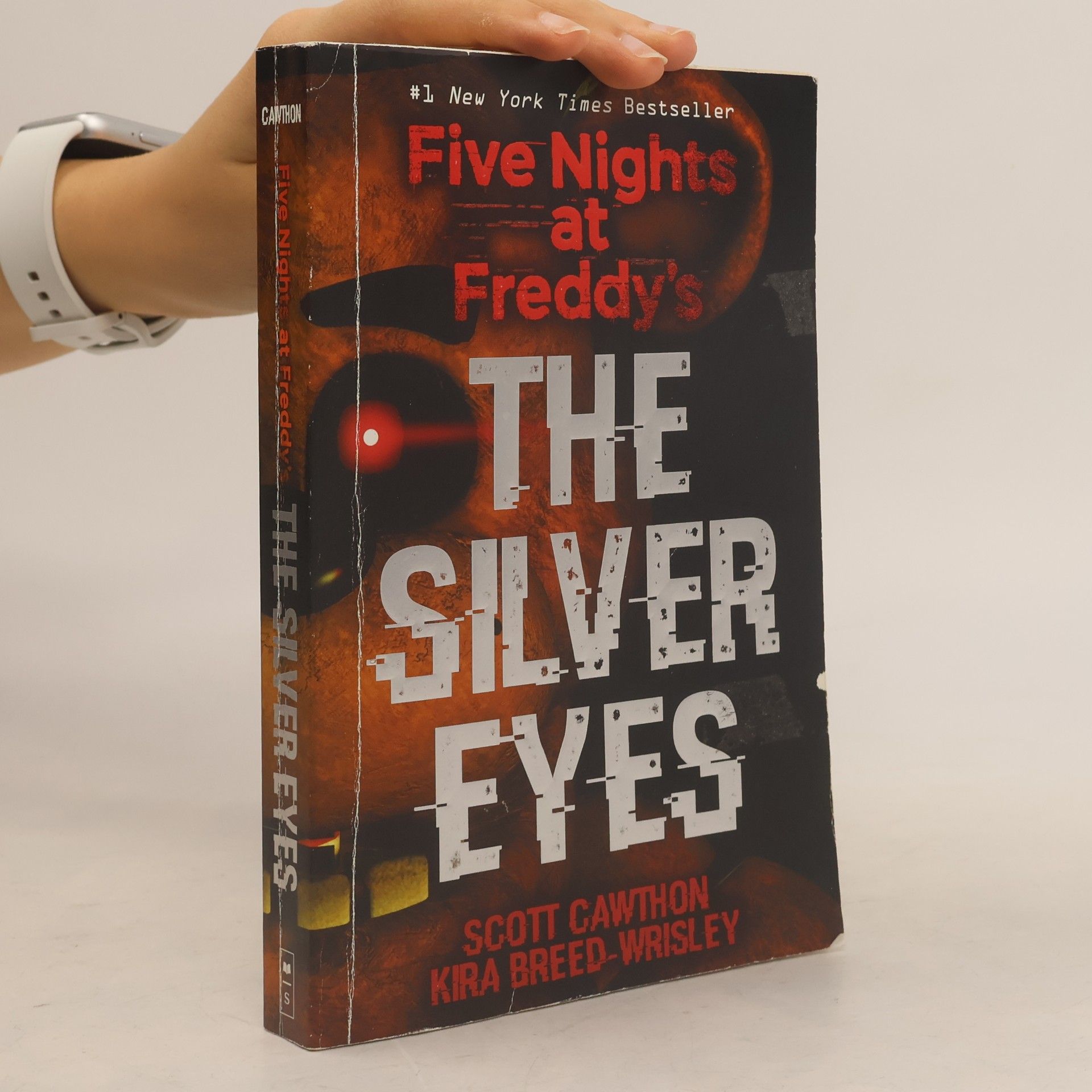 Five Nights at Fraddy's : The Silver Eyes