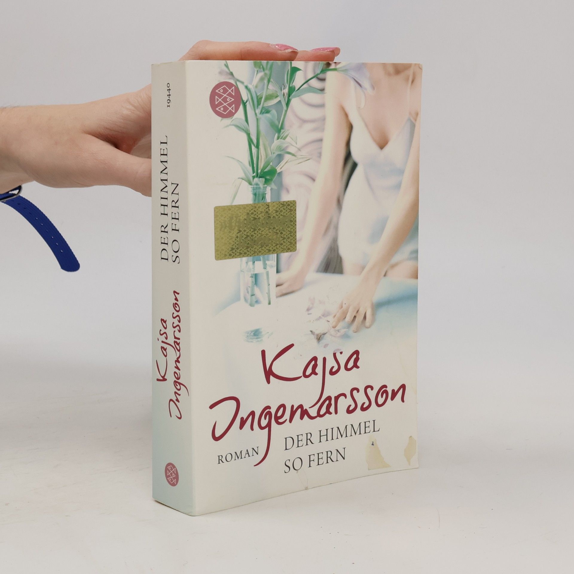 Kajsa Ingemarsson Der Himmel so fern