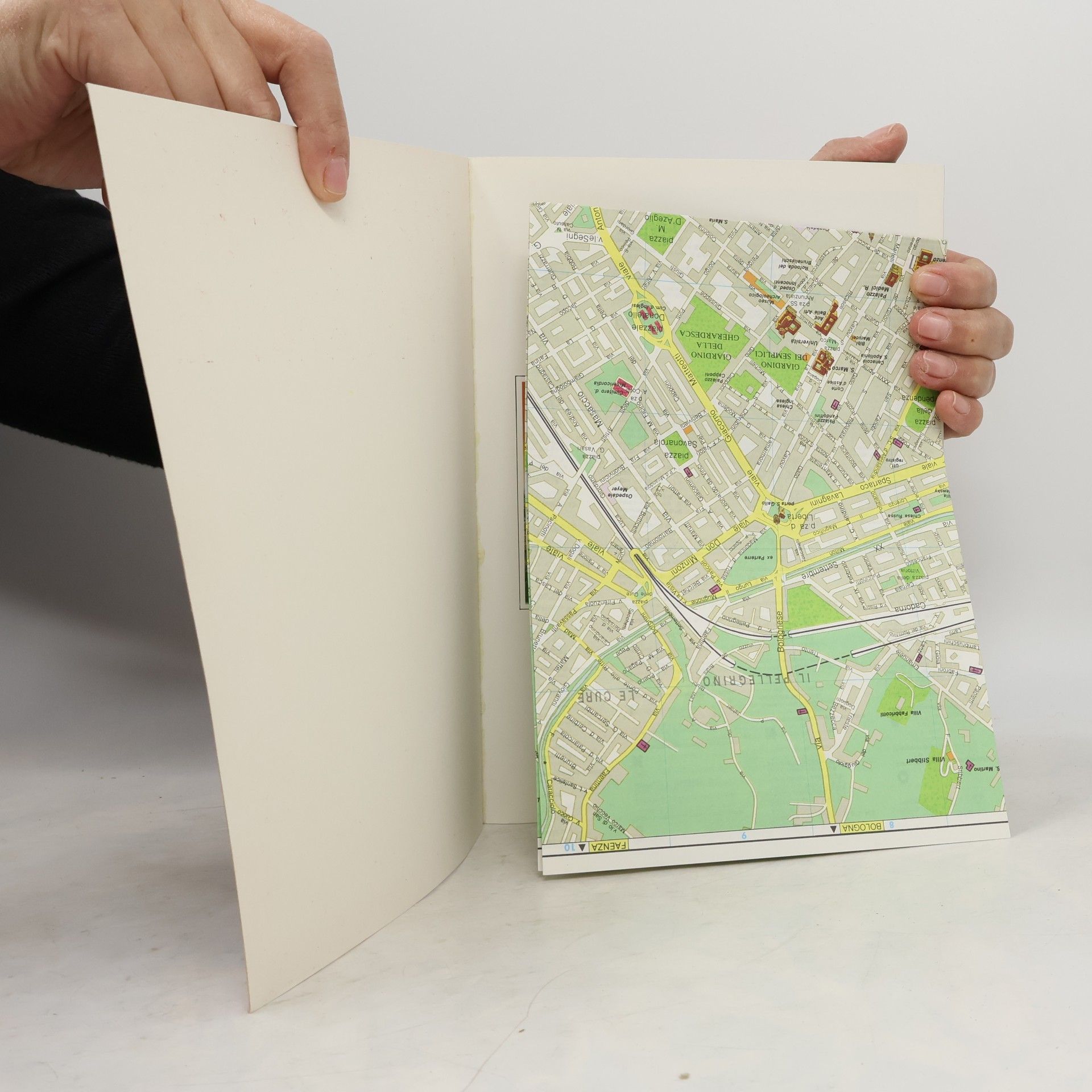 Erika Pauli The golden book of Florence