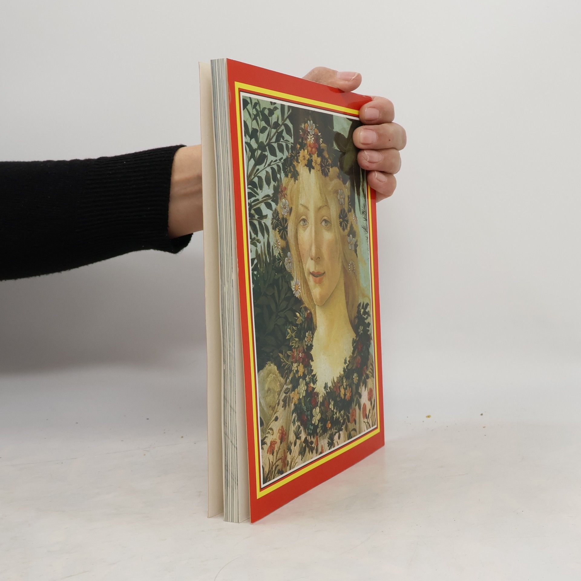 Erika Pauli The golden book of Florence