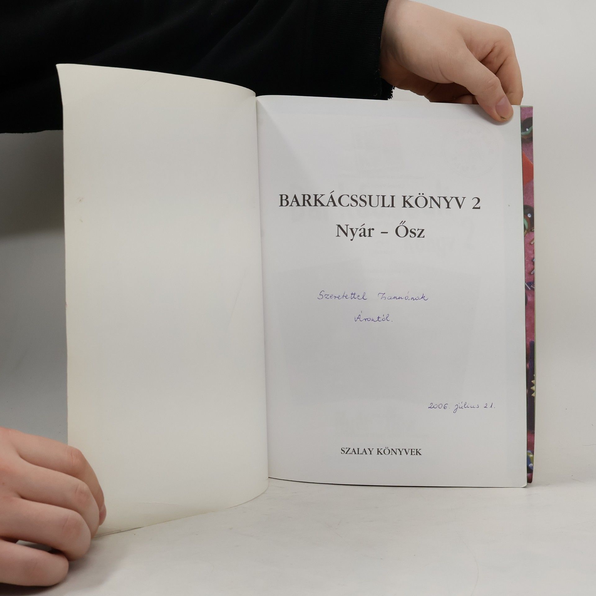Kiresné Vincze Ilona Barkácssuli könyv 2