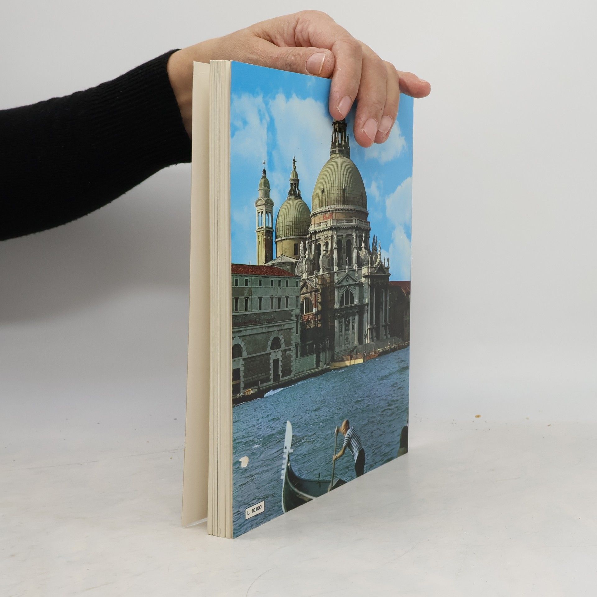 Kolektiv autorů All Venice