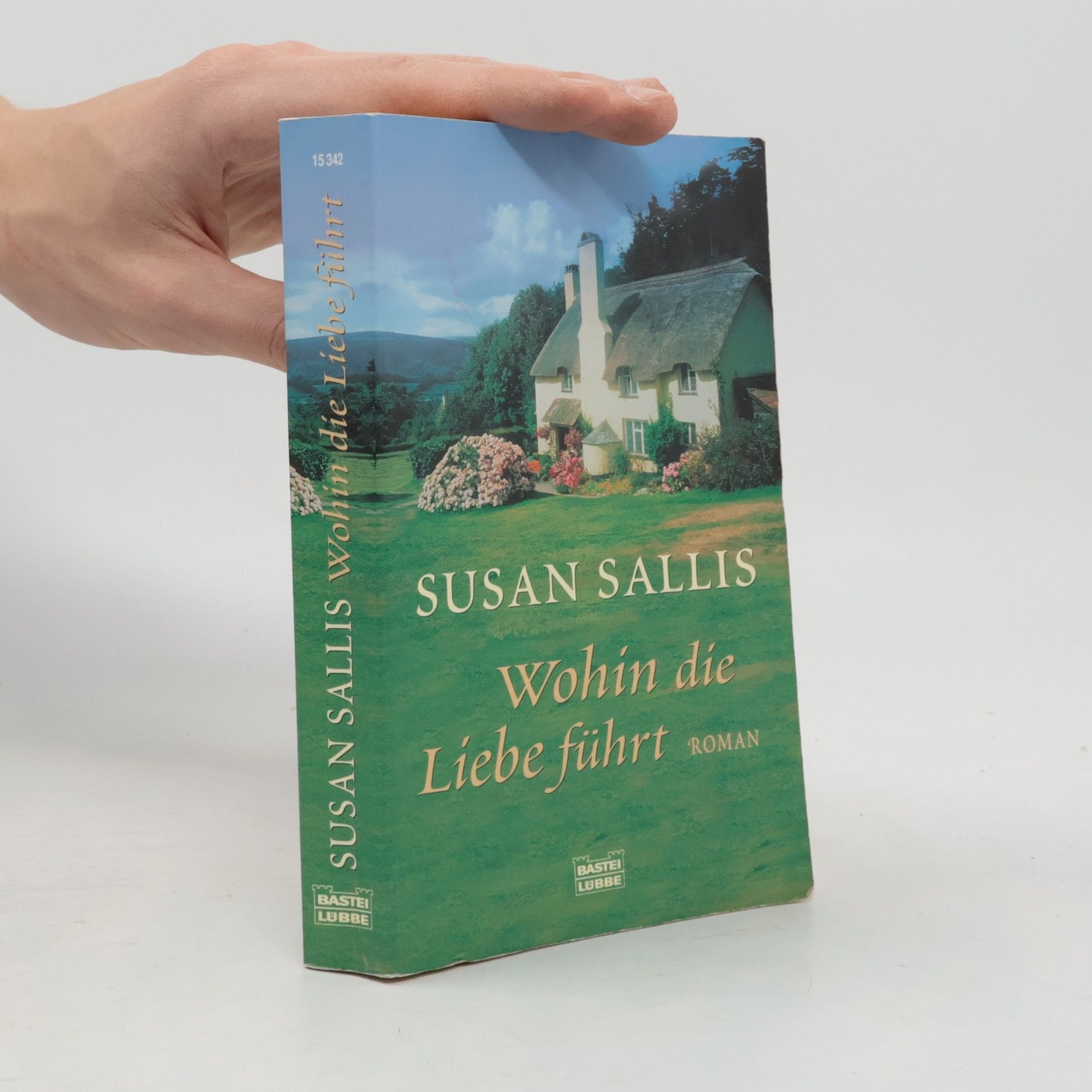 Susan Sallis Wohin die Liebe führt