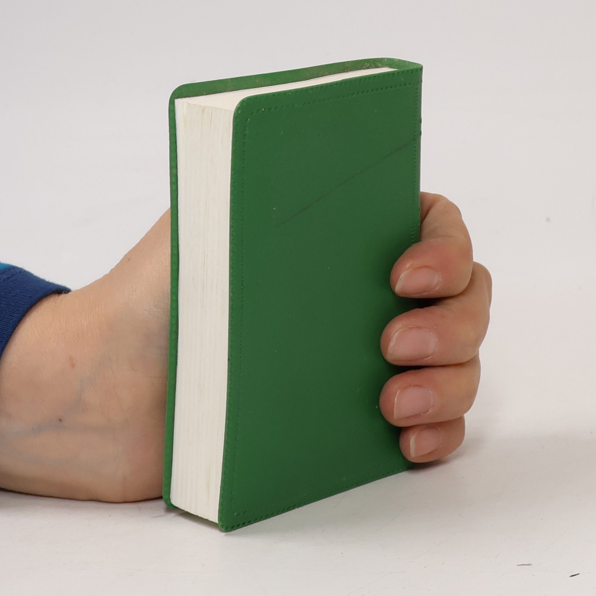 Autorenkollektiv Neues Testament. Psalmen Sprüche
