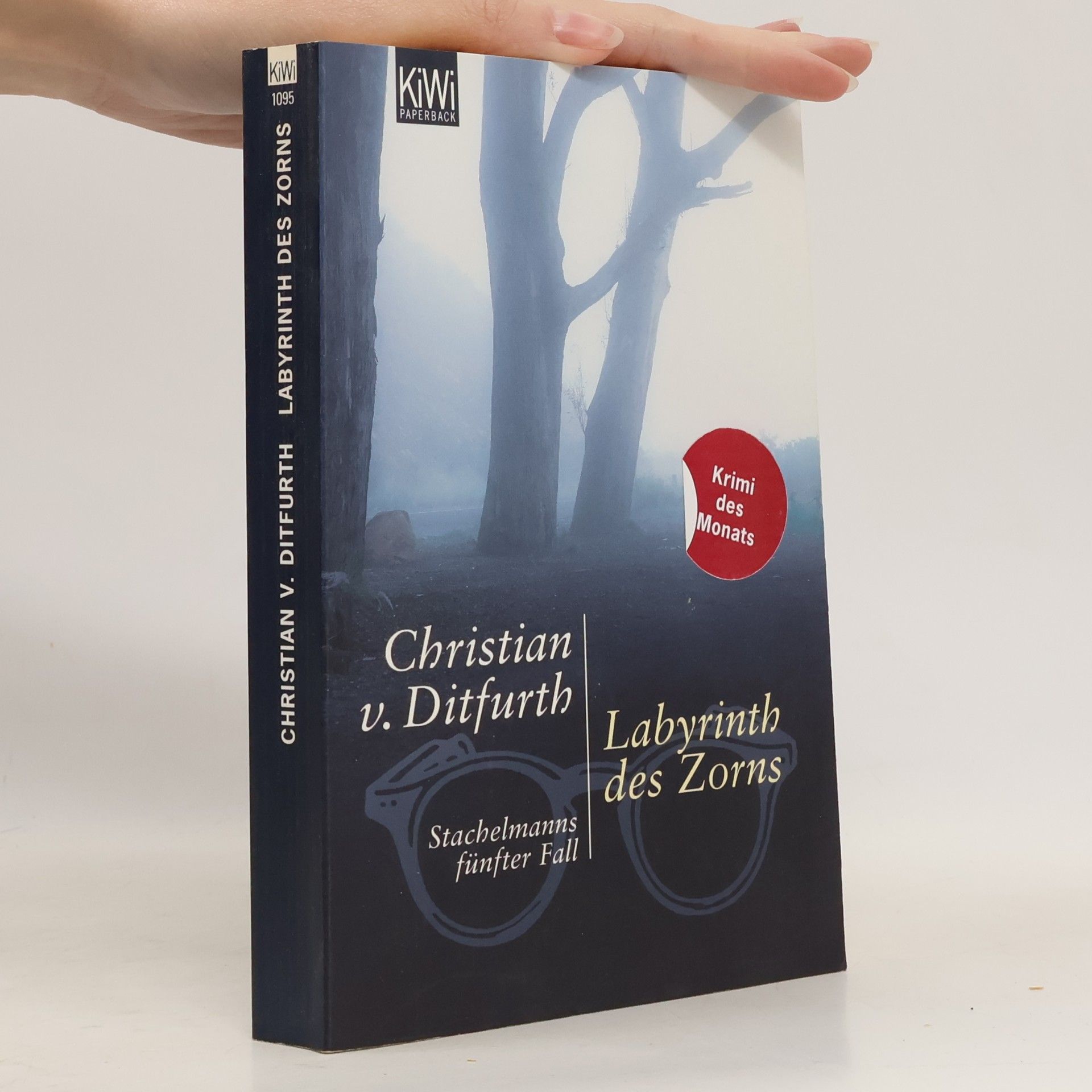 Christian v. Ditfurth Labyrinth des Zorns