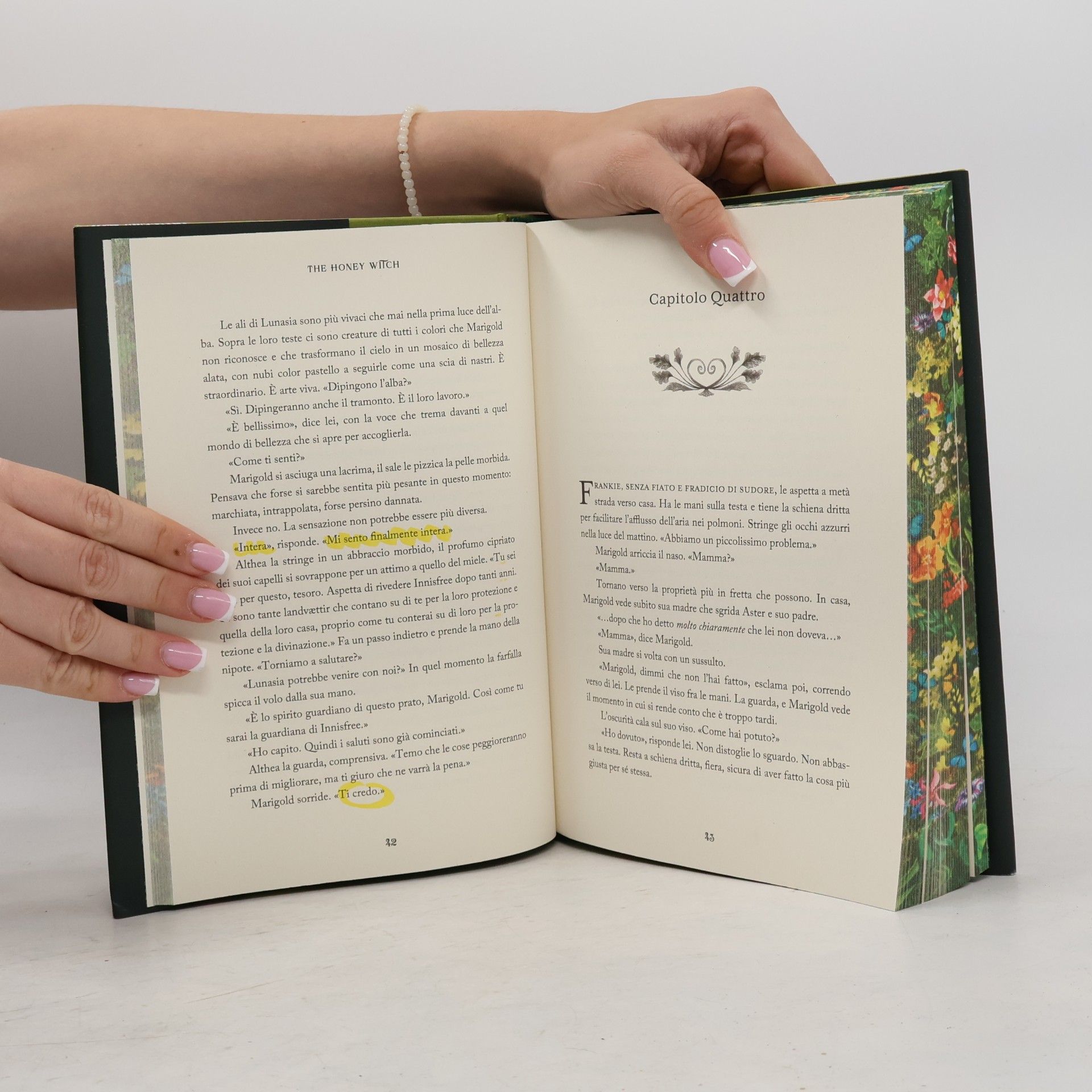 Sydney J. Shields Il Castoro Off: The Honey Witch