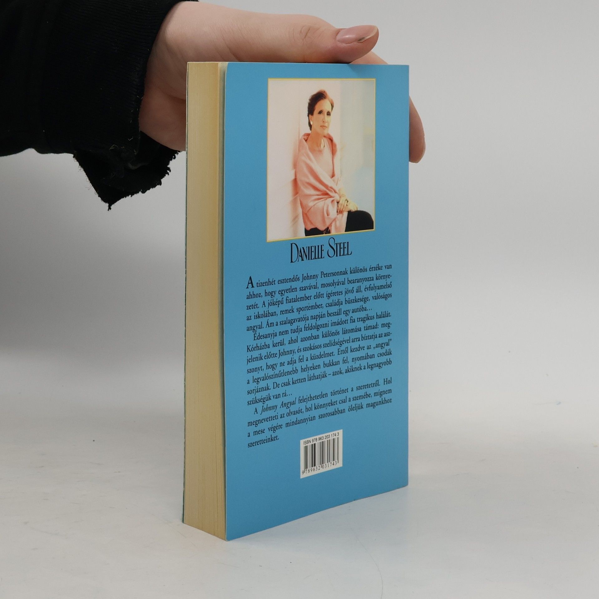 Danielle Steel Johnny Angyal