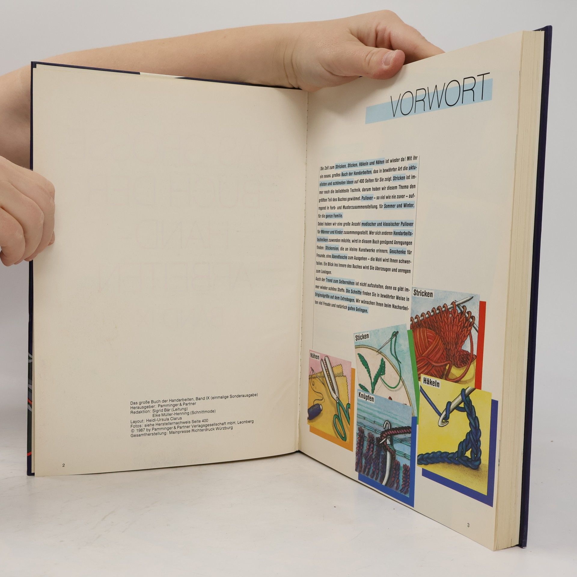 Autorenkollektiv Das große Buch der Handarbeiten IX.