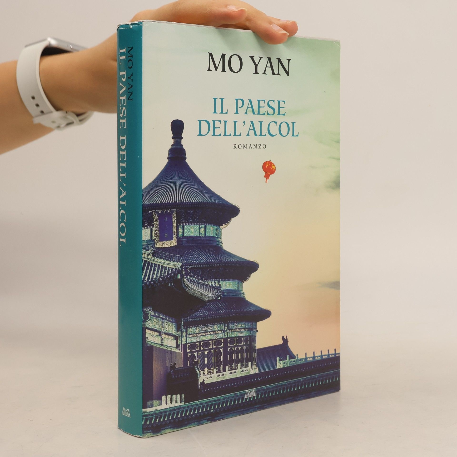 Il paese dell'alcol