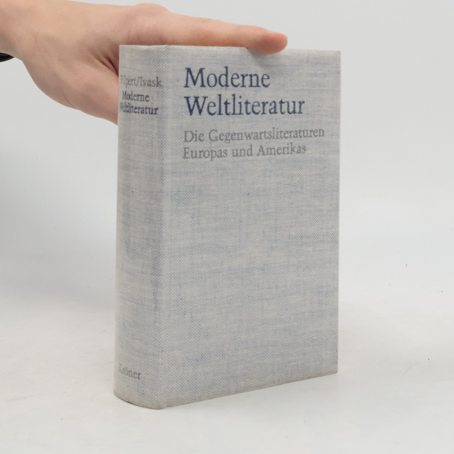 Moderne Weltliteratur