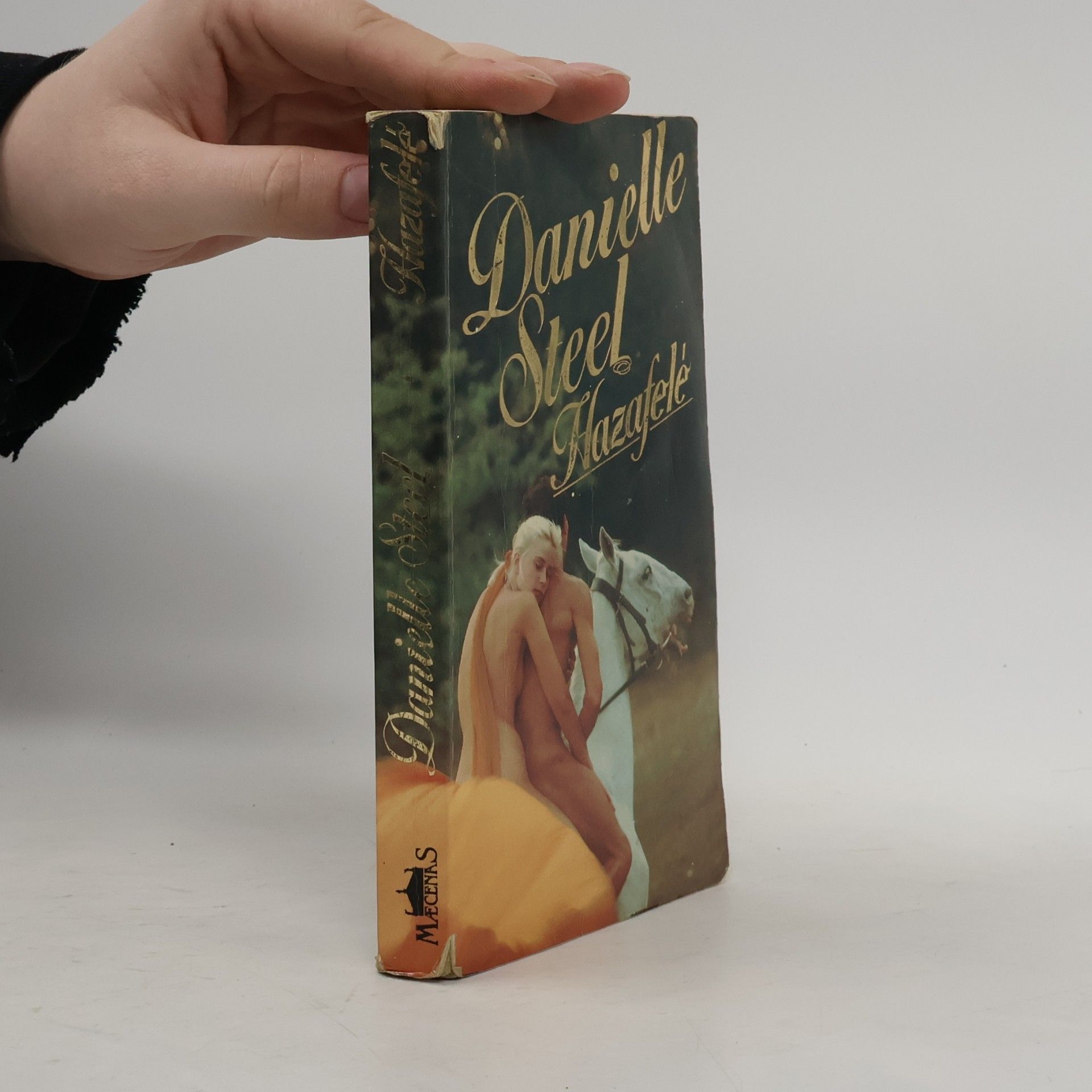 Danielle Steel Hazafelé