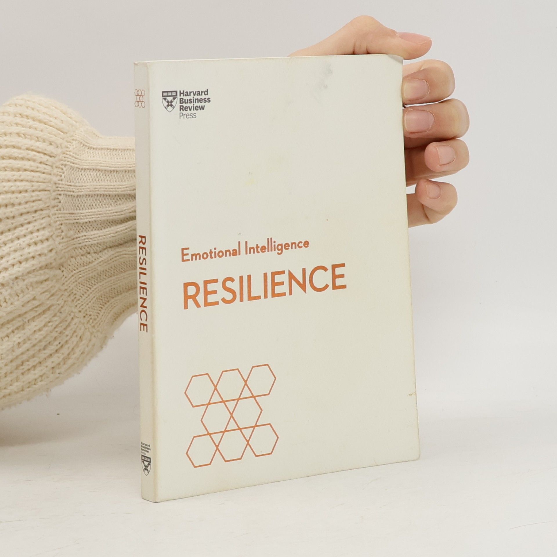 Kolektiv autorů Resilience