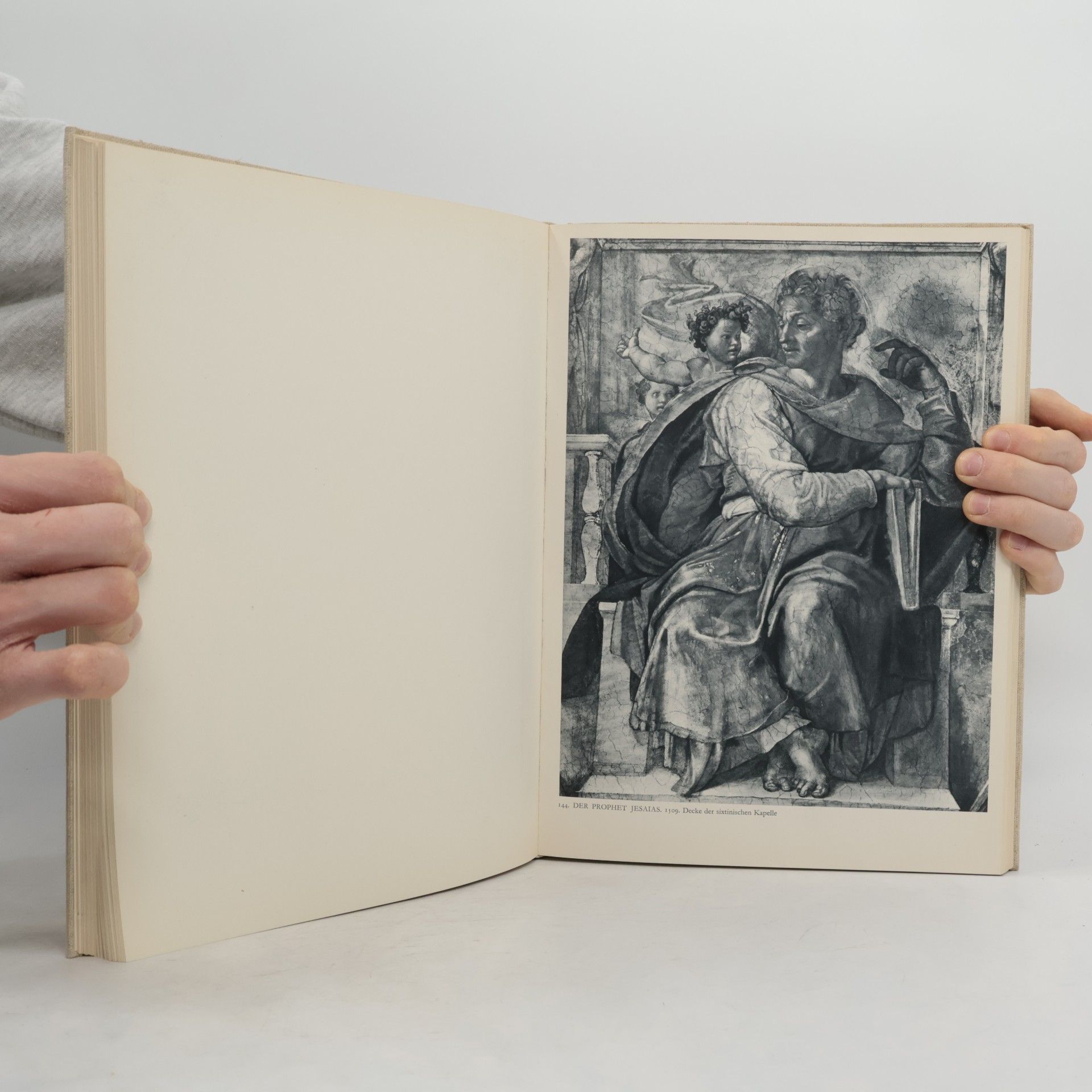 Ludwig Goldscheider Michelangelo