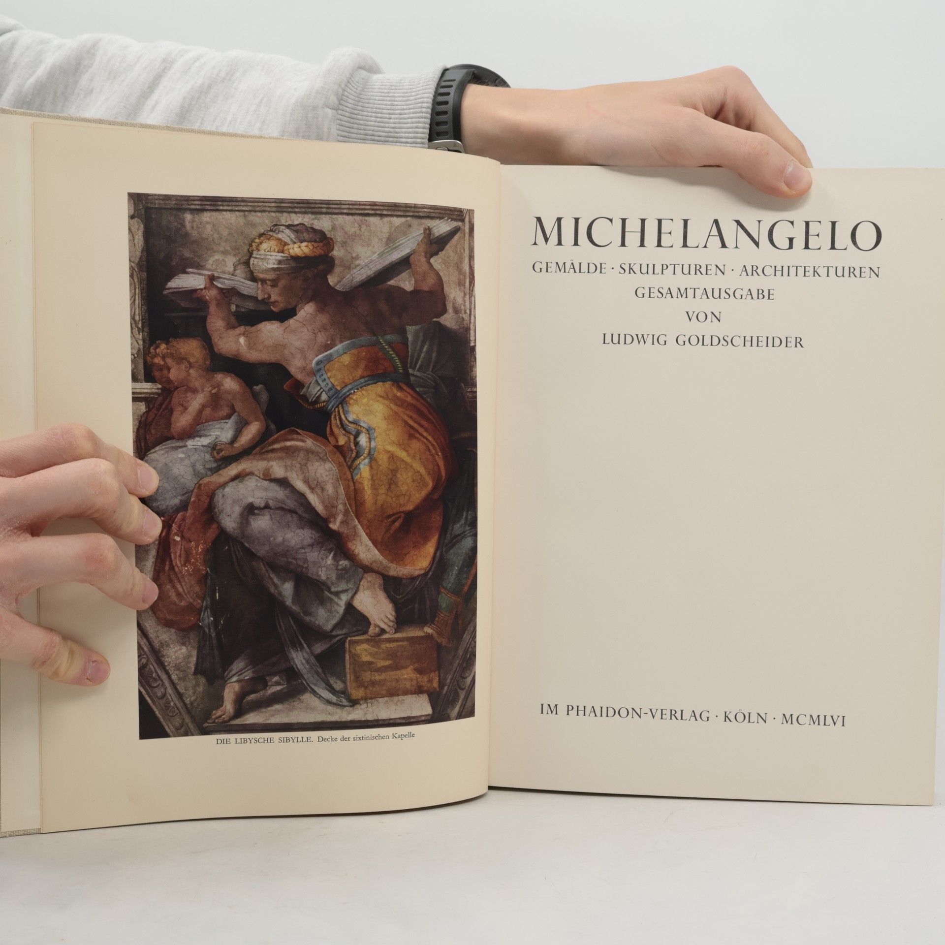 Ludwig Goldscheider Michelangelo