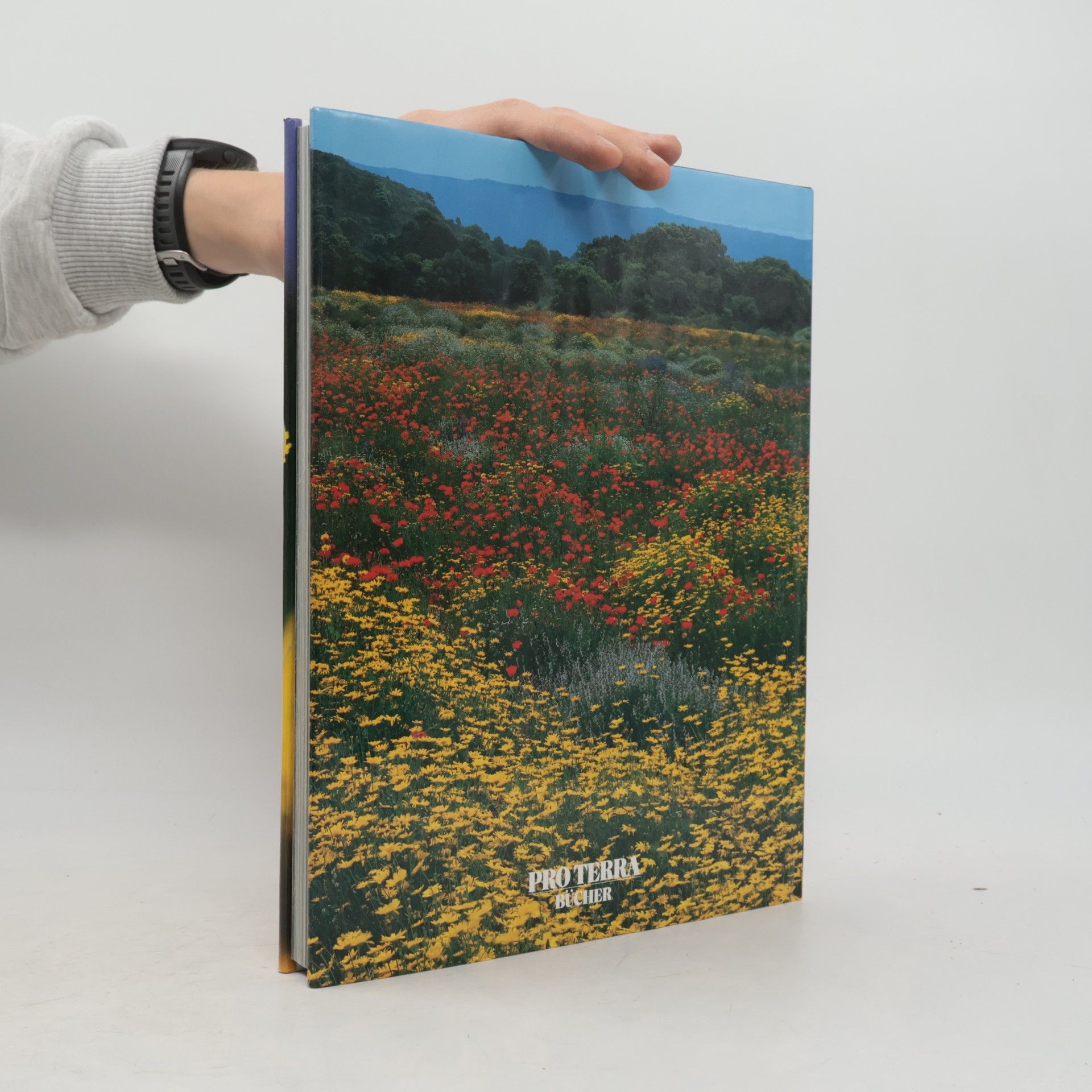 Autores varios Naturschönheiten im Verborgenen