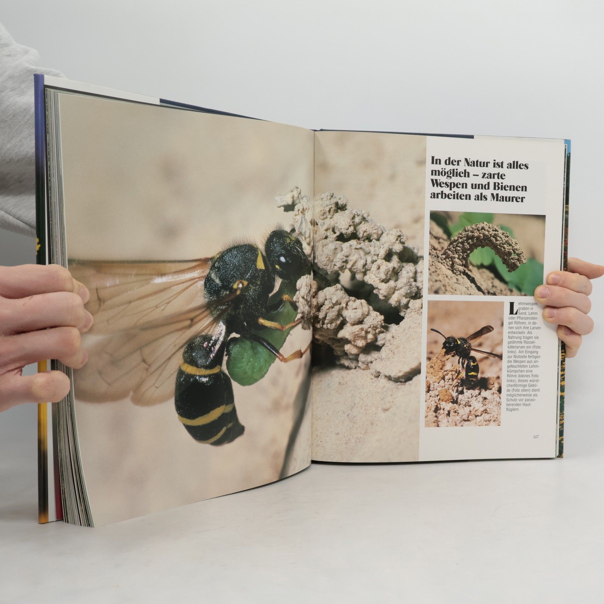 Autores varios Naturschönheiten im Verborgenen