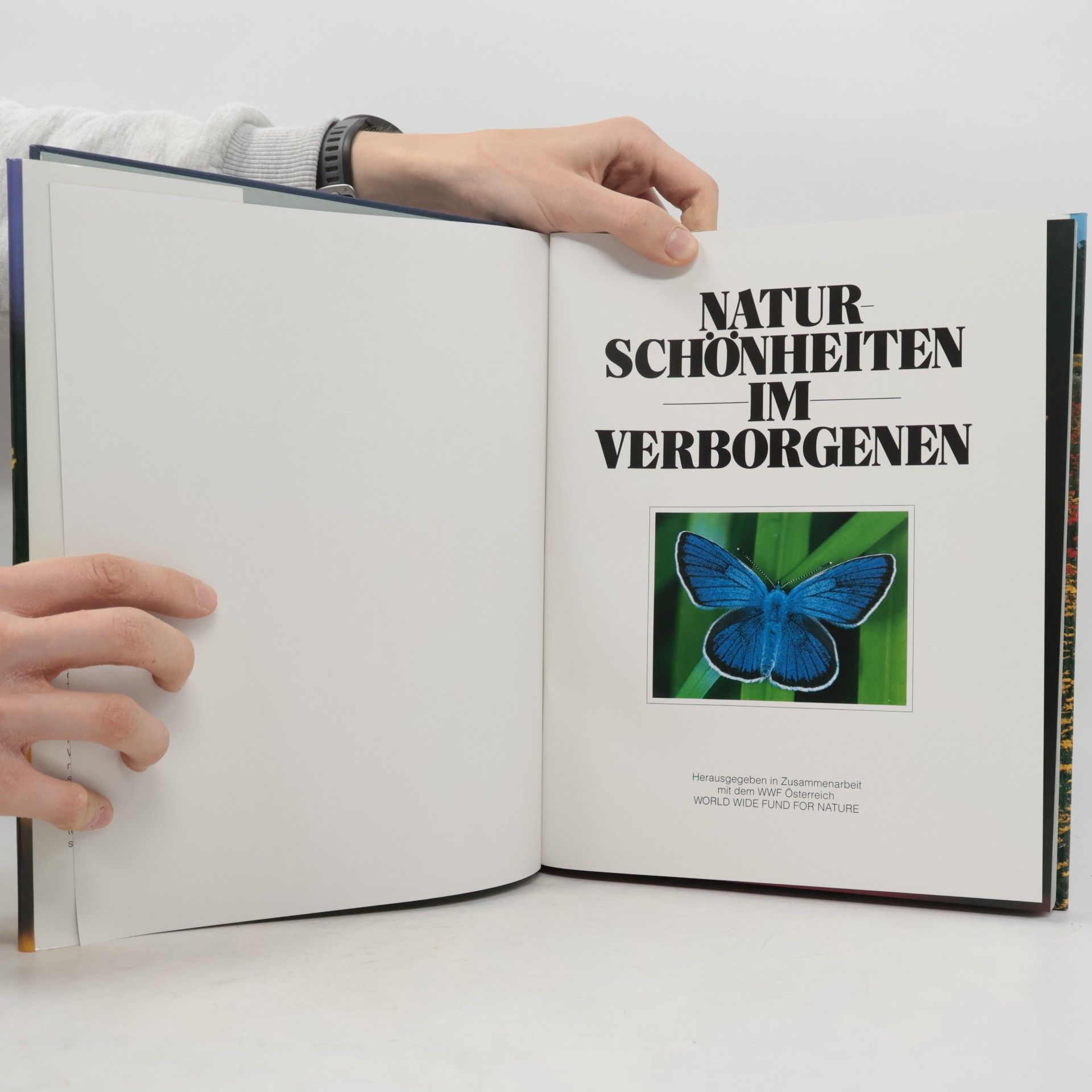 Autores varios Naturschönheiten im Verborgenen