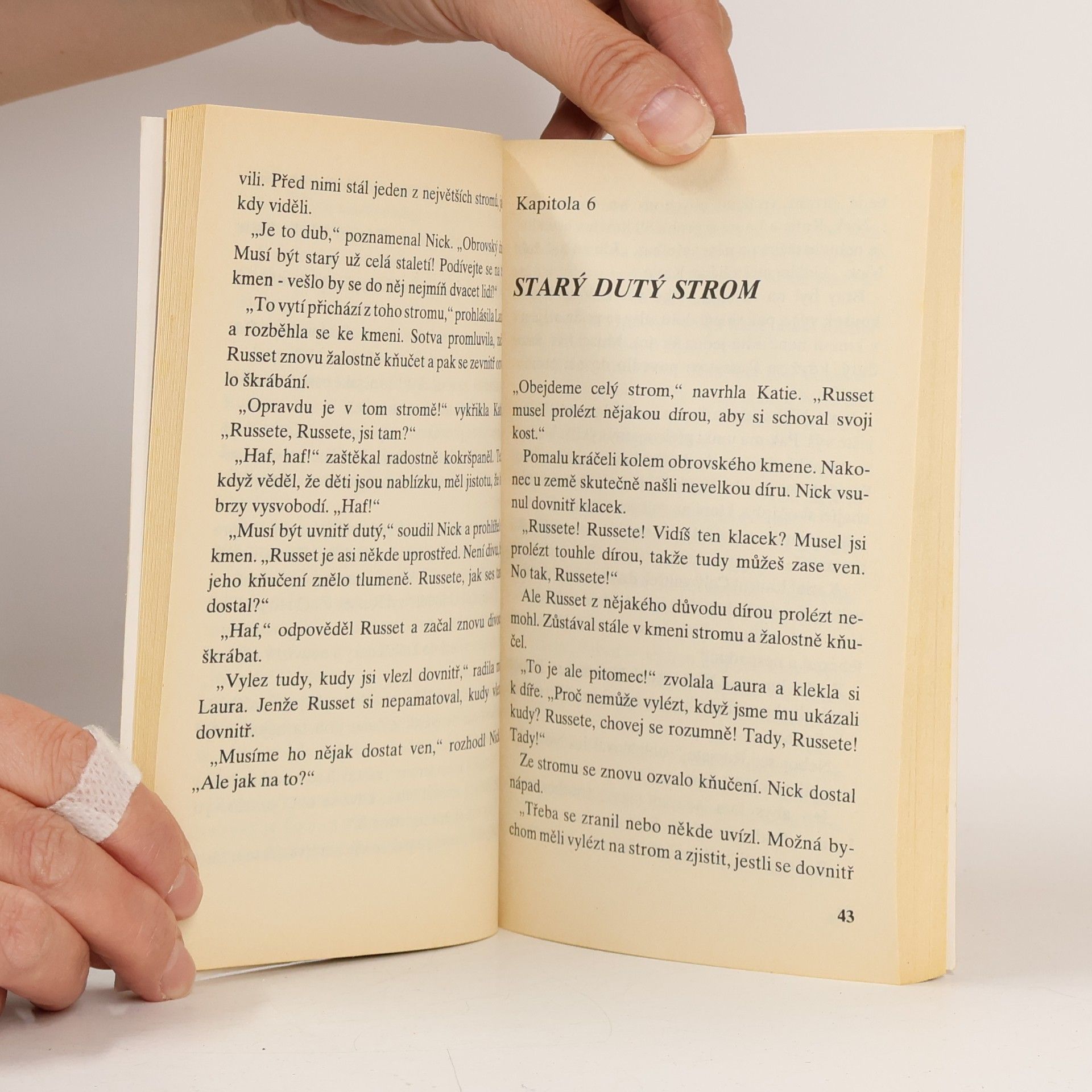 Enid Blyton Hádanka dutého stromu