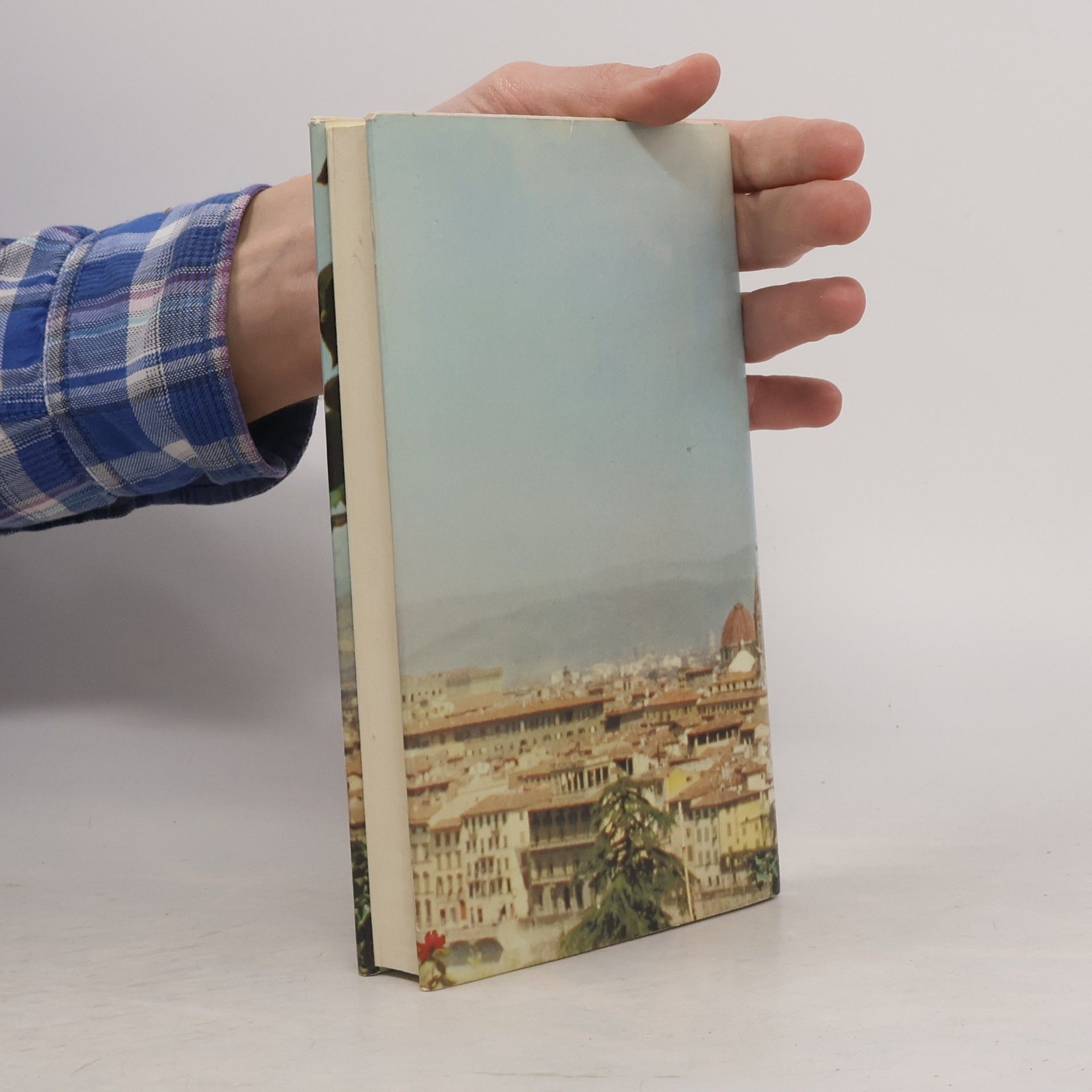 Joachim Fernau Ein Frühling in Florenz