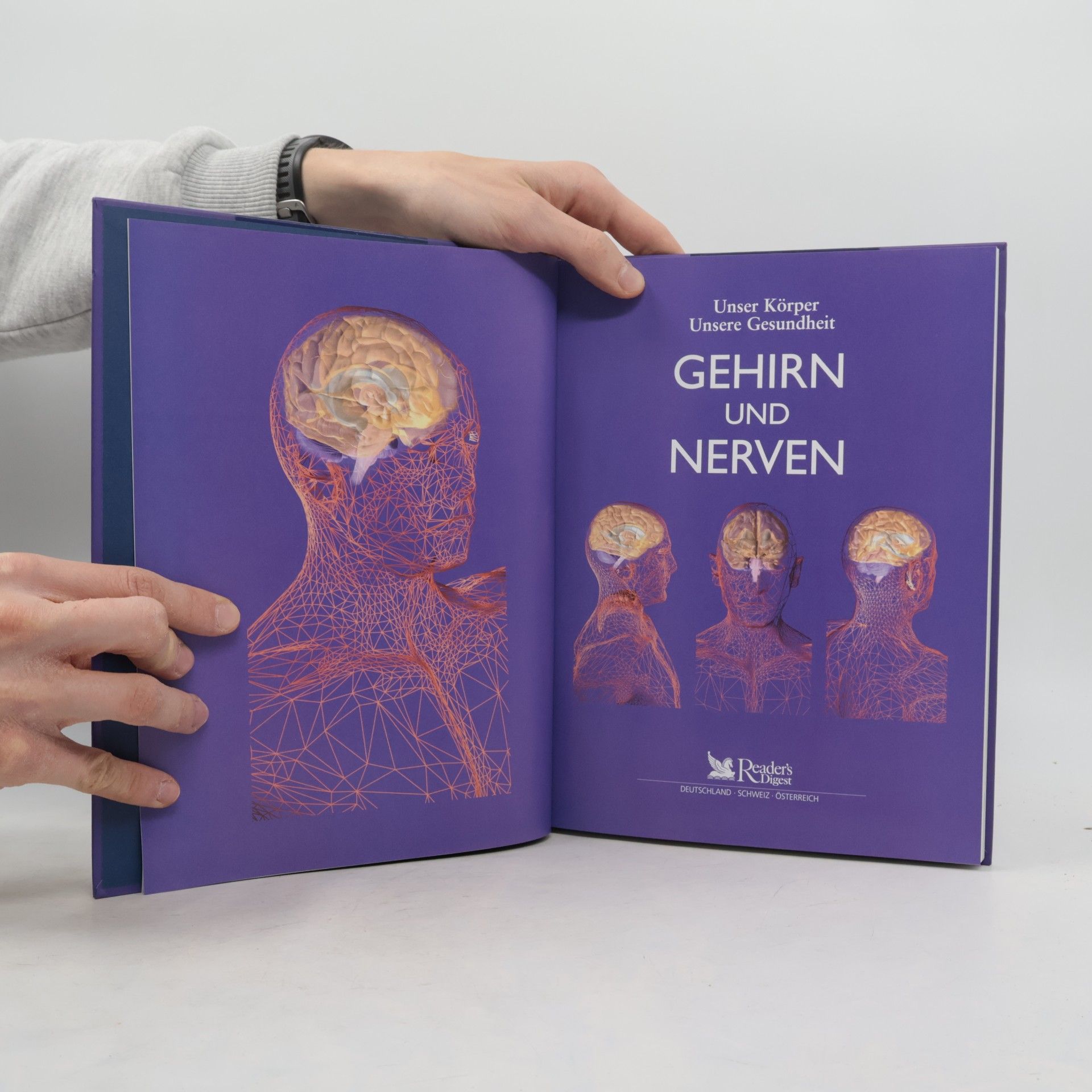 Autorenkollektiv Gehirn und Nerven