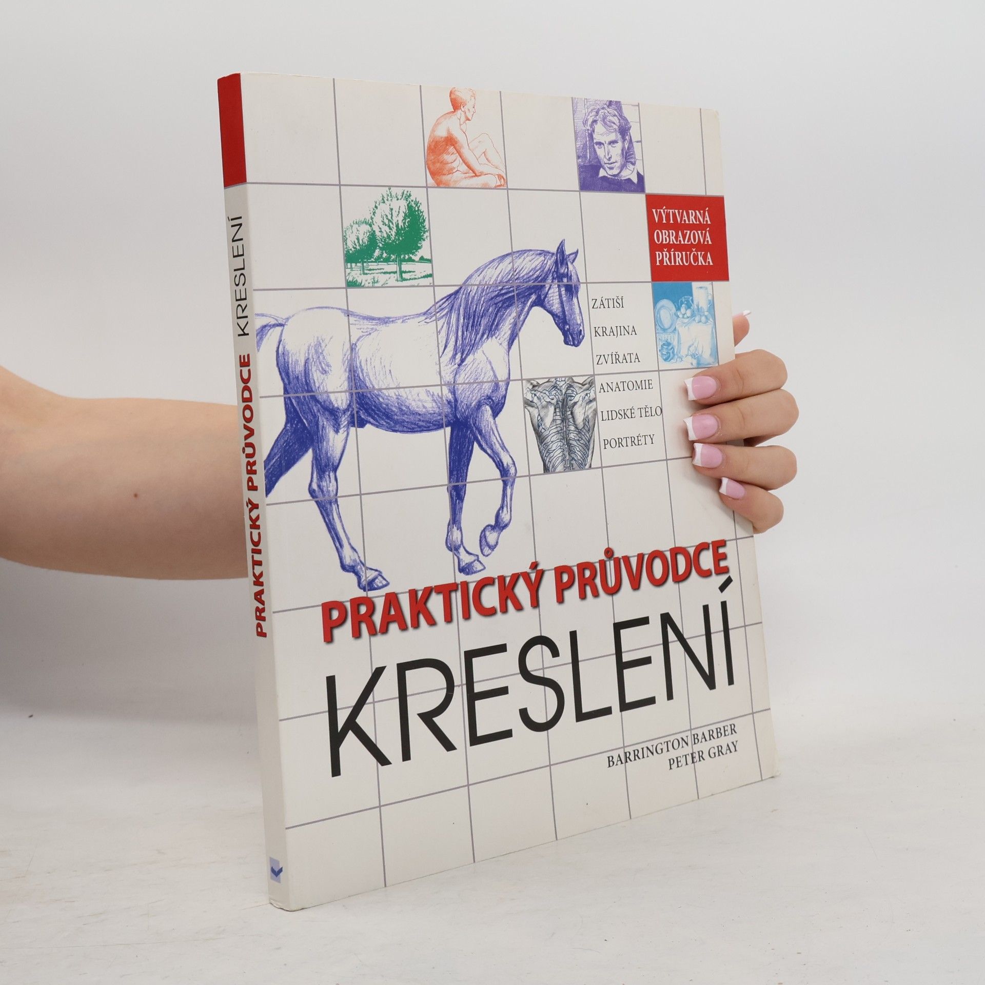 Lucie Voráčková Praktický průvodce kreslení : výtvarná obrazová příručka