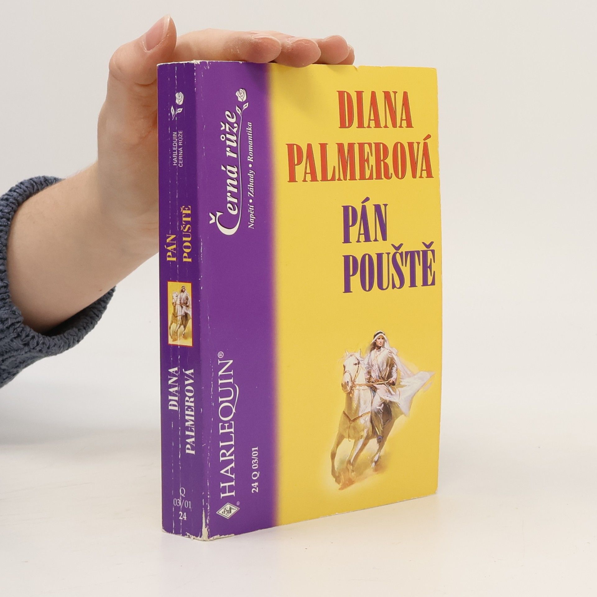 Diana Palmer Pán pouště