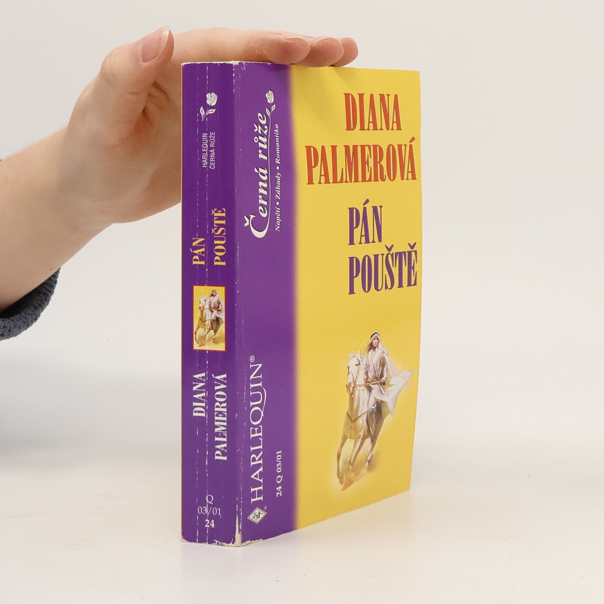 Diana Palmer Pán pouště
