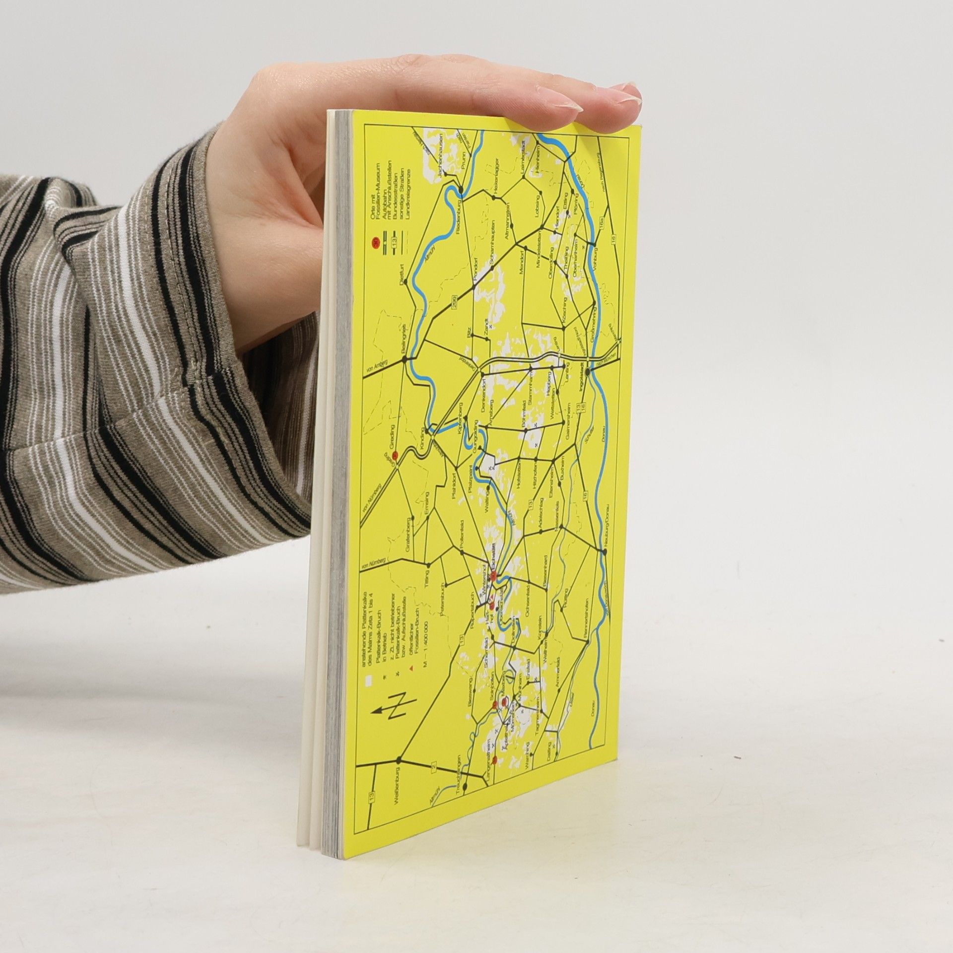 Collectif d'auteurs Fossilien der Altmühlalb