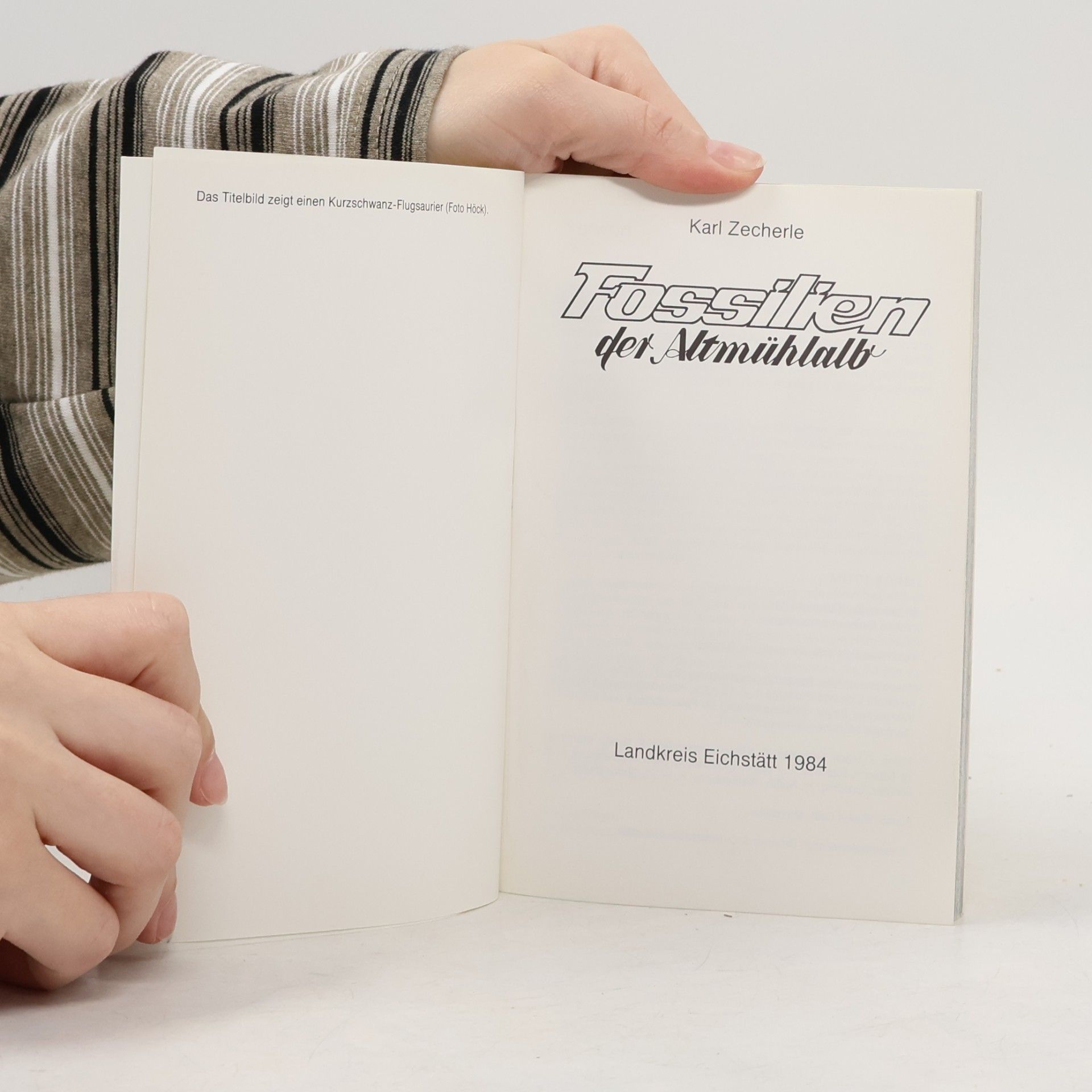Collectif d'auteurs Fossilien der Altmühlalb