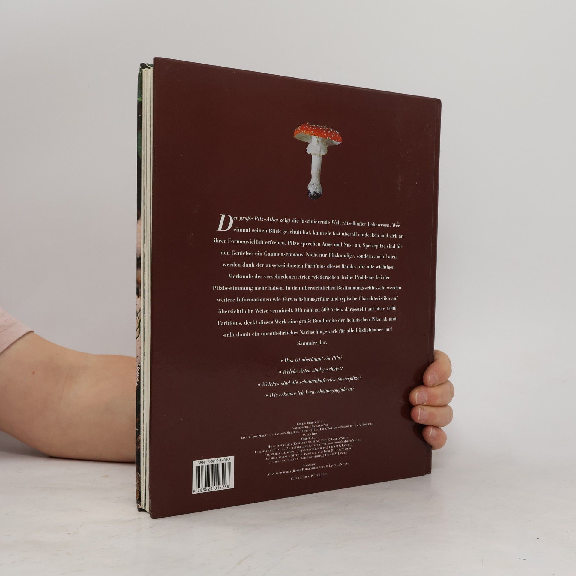 Marten Brandt Der große Pilz-Atlas
