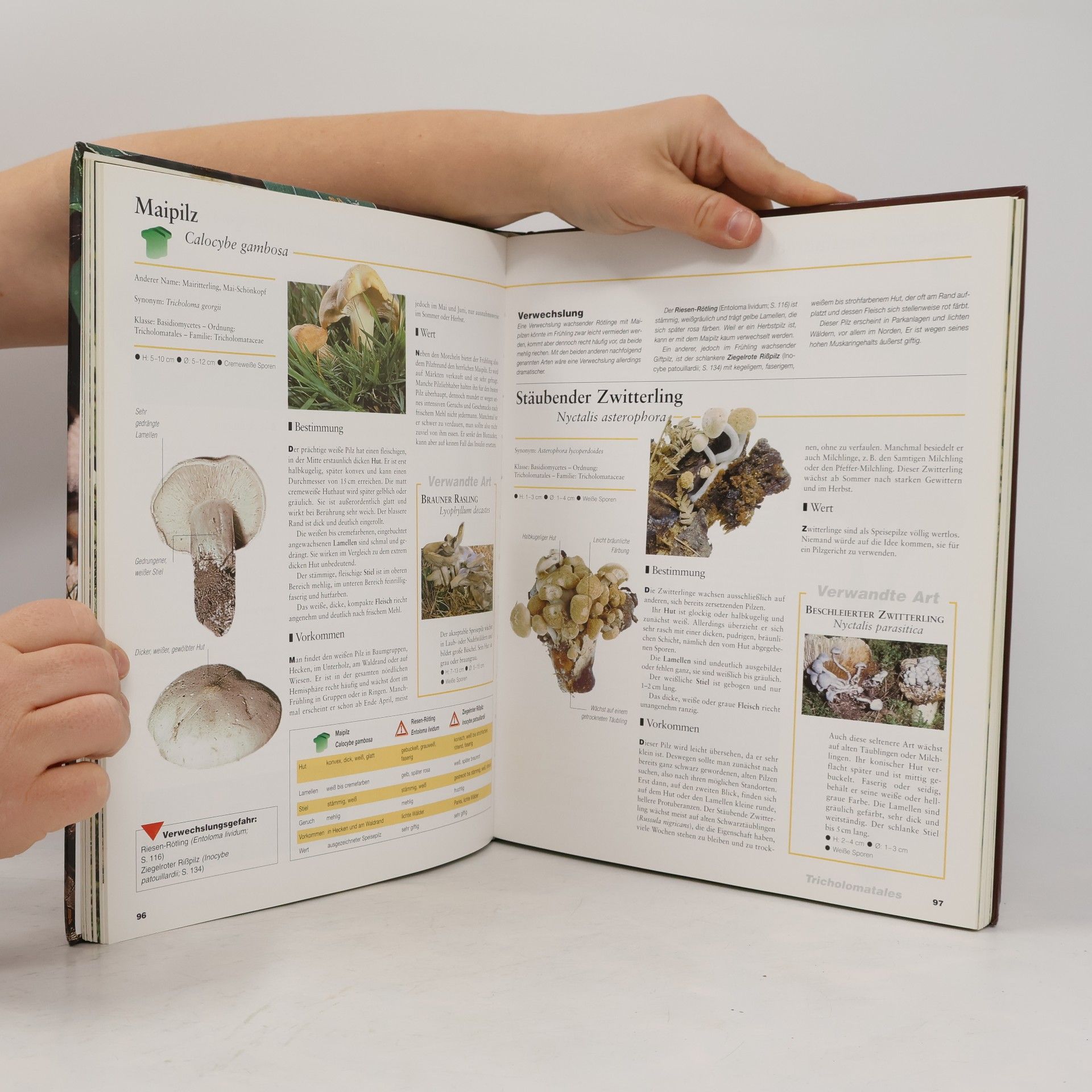 Marten Brandt Der große Pilz-Atlas