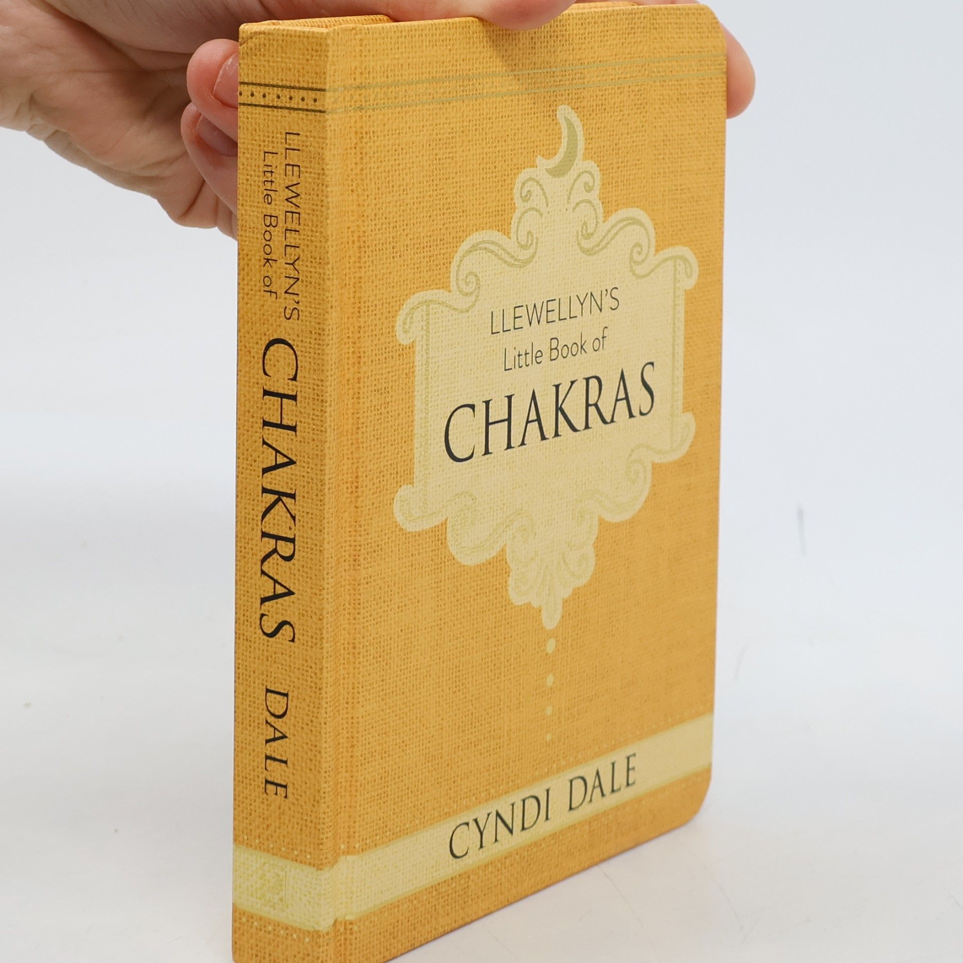 Cyndi Dale Llewellyn's Little Book of Chakras