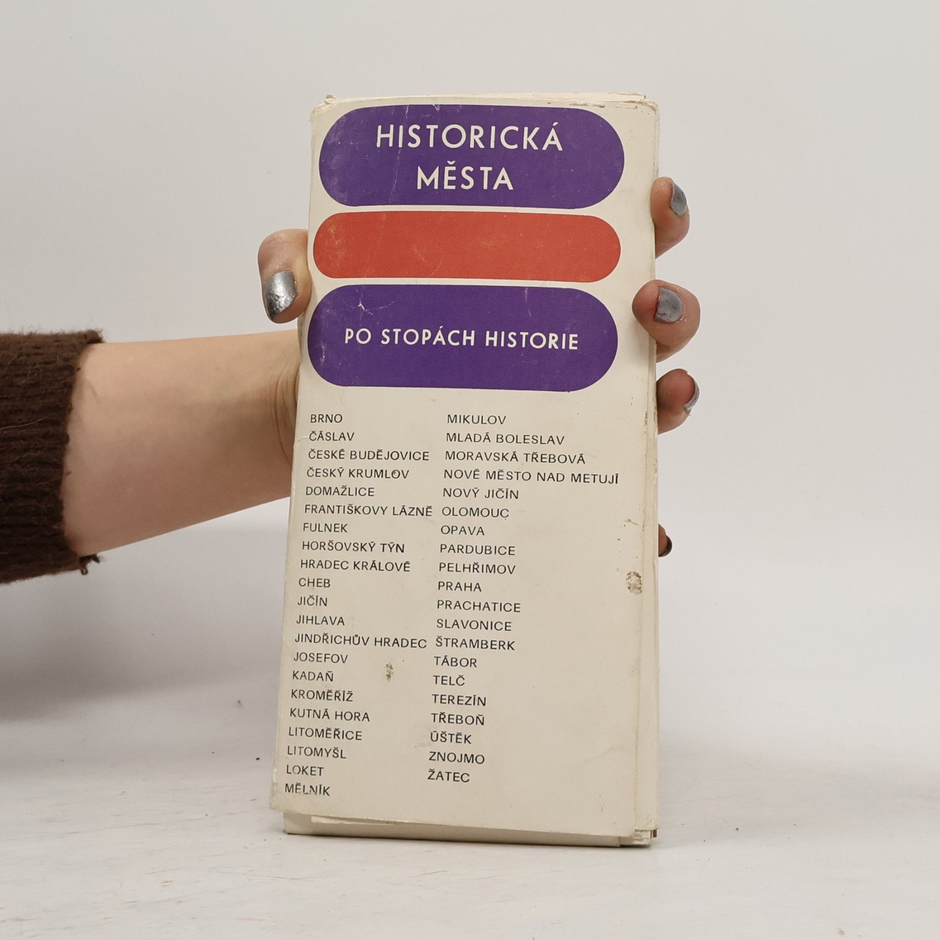 kolektiv Historická města po stopách historie