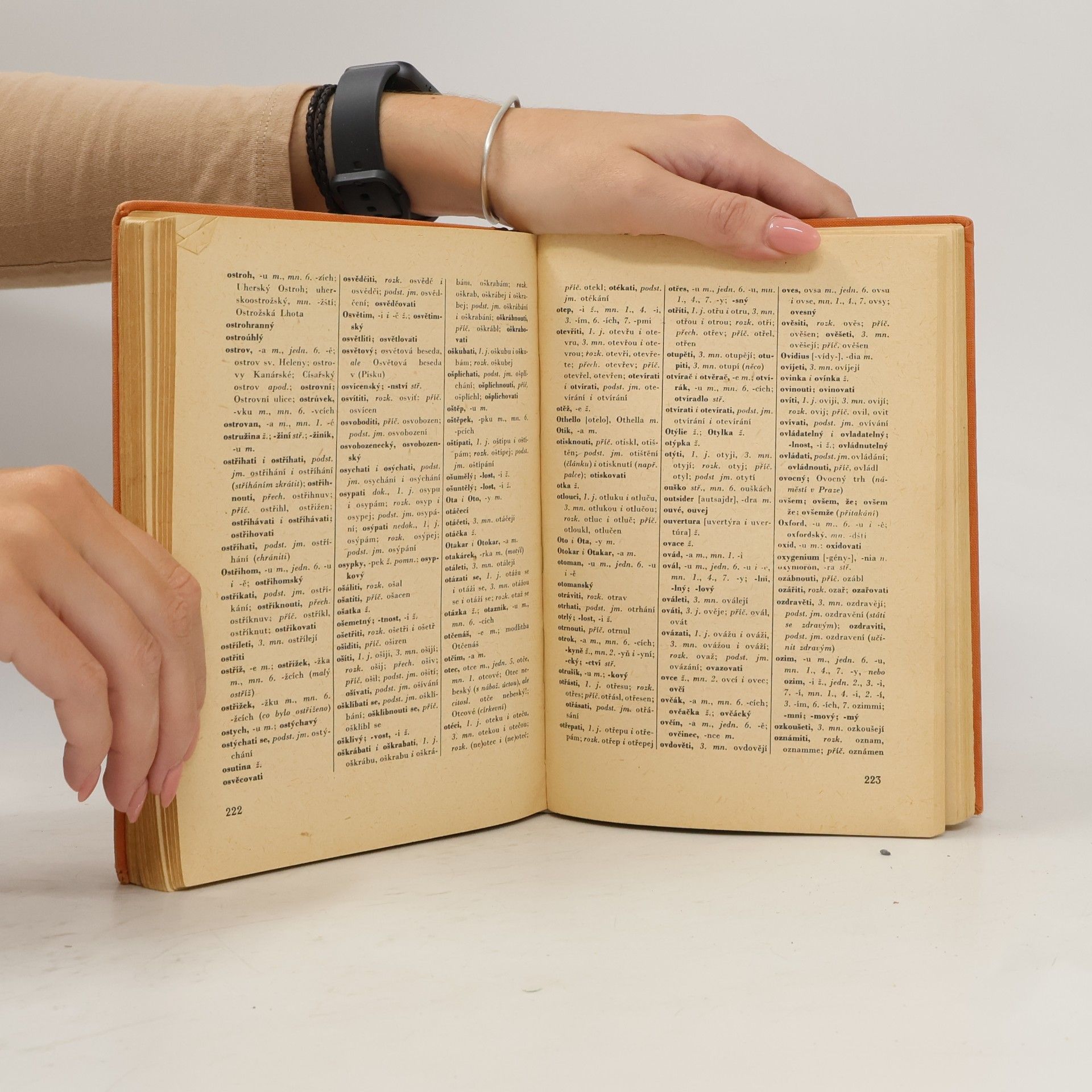 Autorenkollektiv Pravidla českého pravopisu